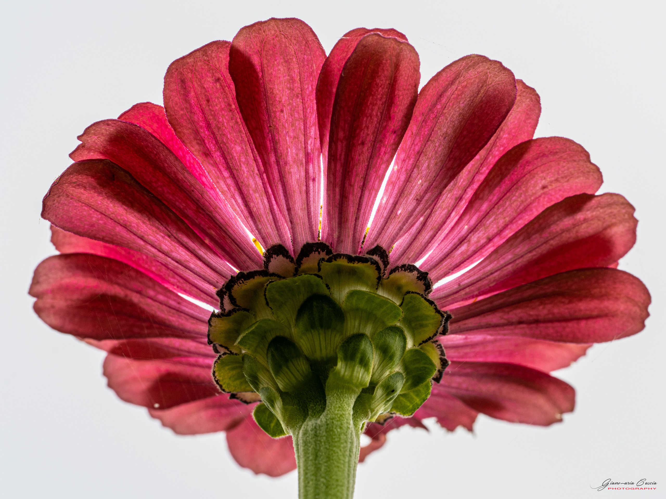 “Gianmaria Coscia fotografo per passione”