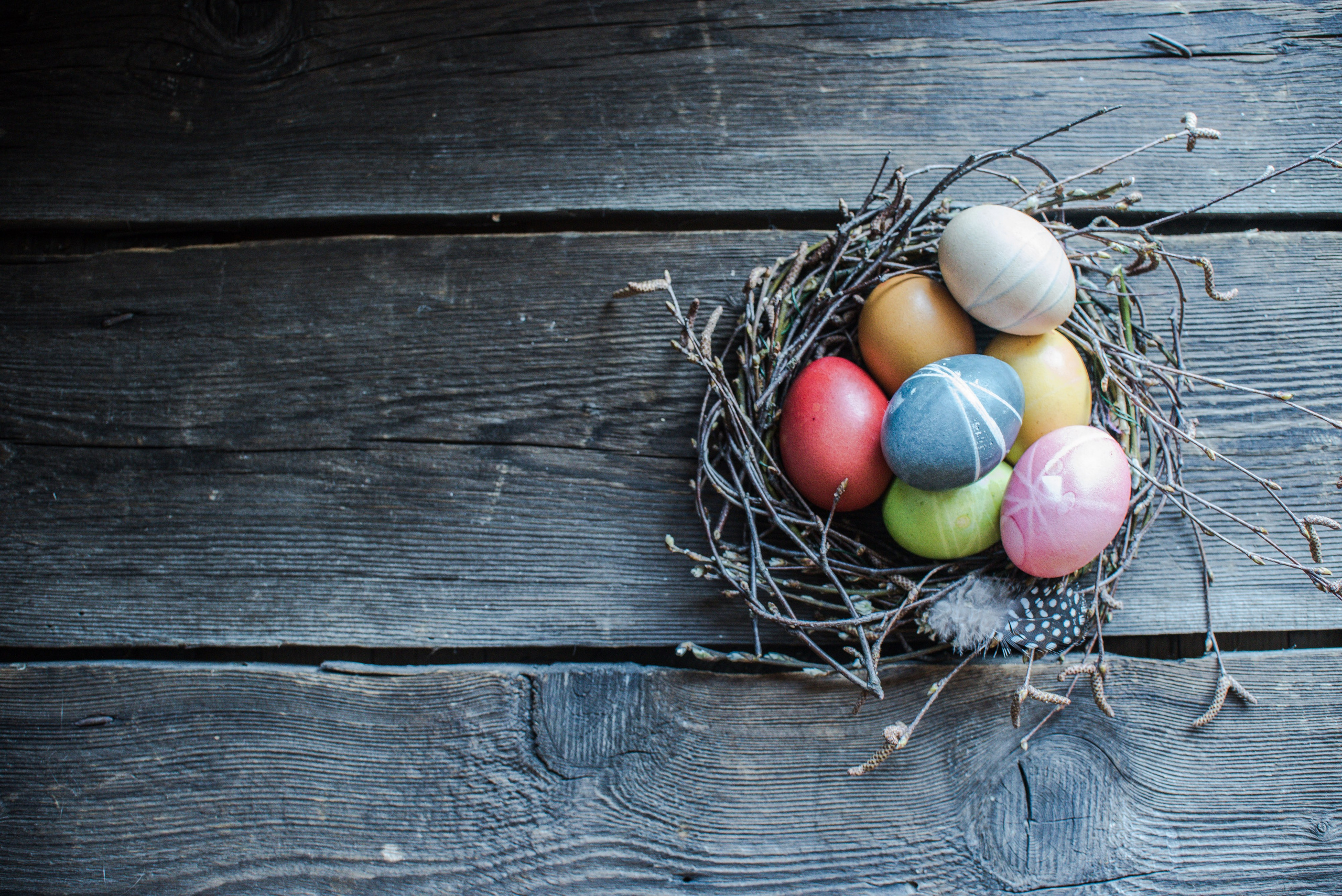Ei. Familienfotografin aus Sterzing Elena Muehlsteiger