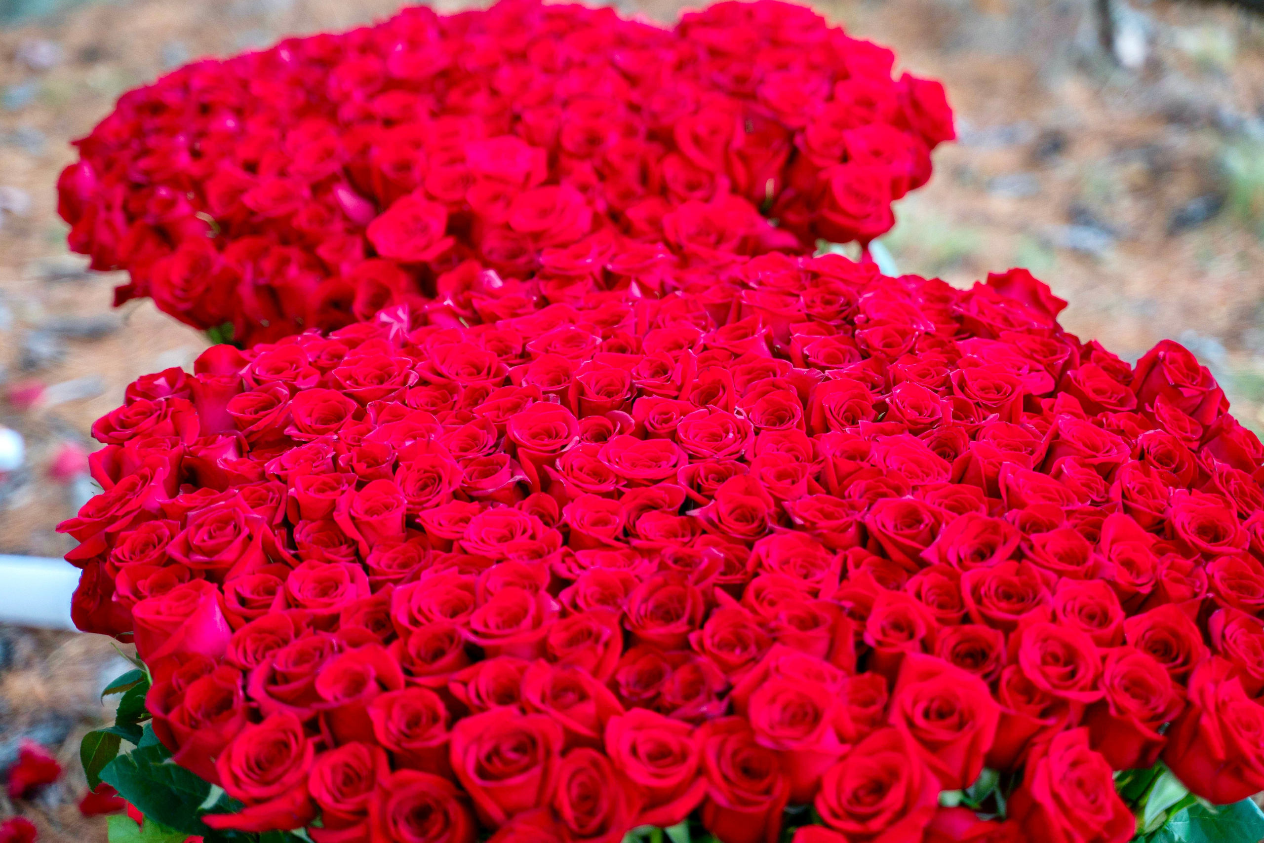 Shamil and Marina. Stefanovich Photography | Miami, FL