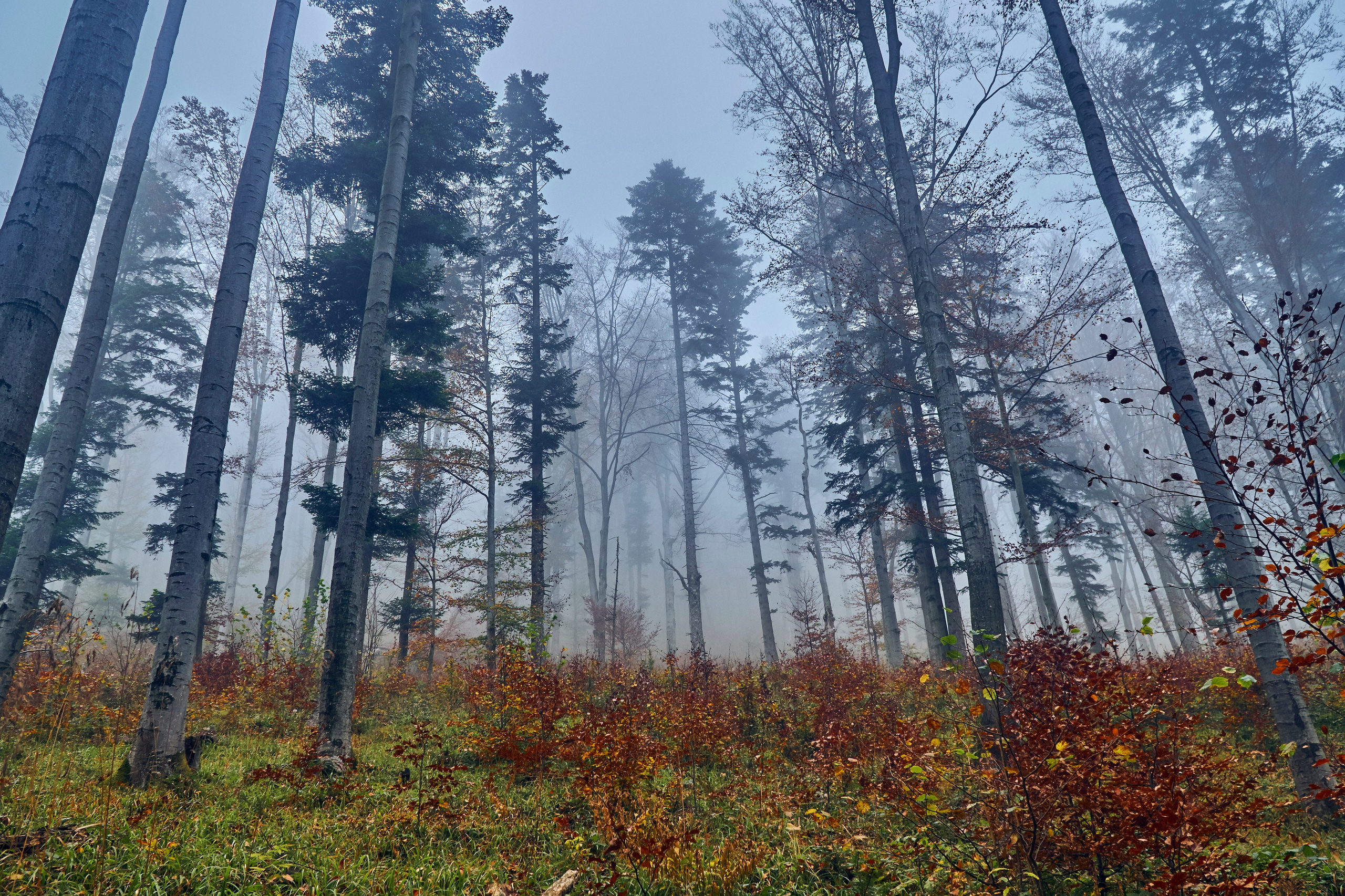 Бещады — здесь остановилось время. Андрей Шипилов — Фотография & Видеография
