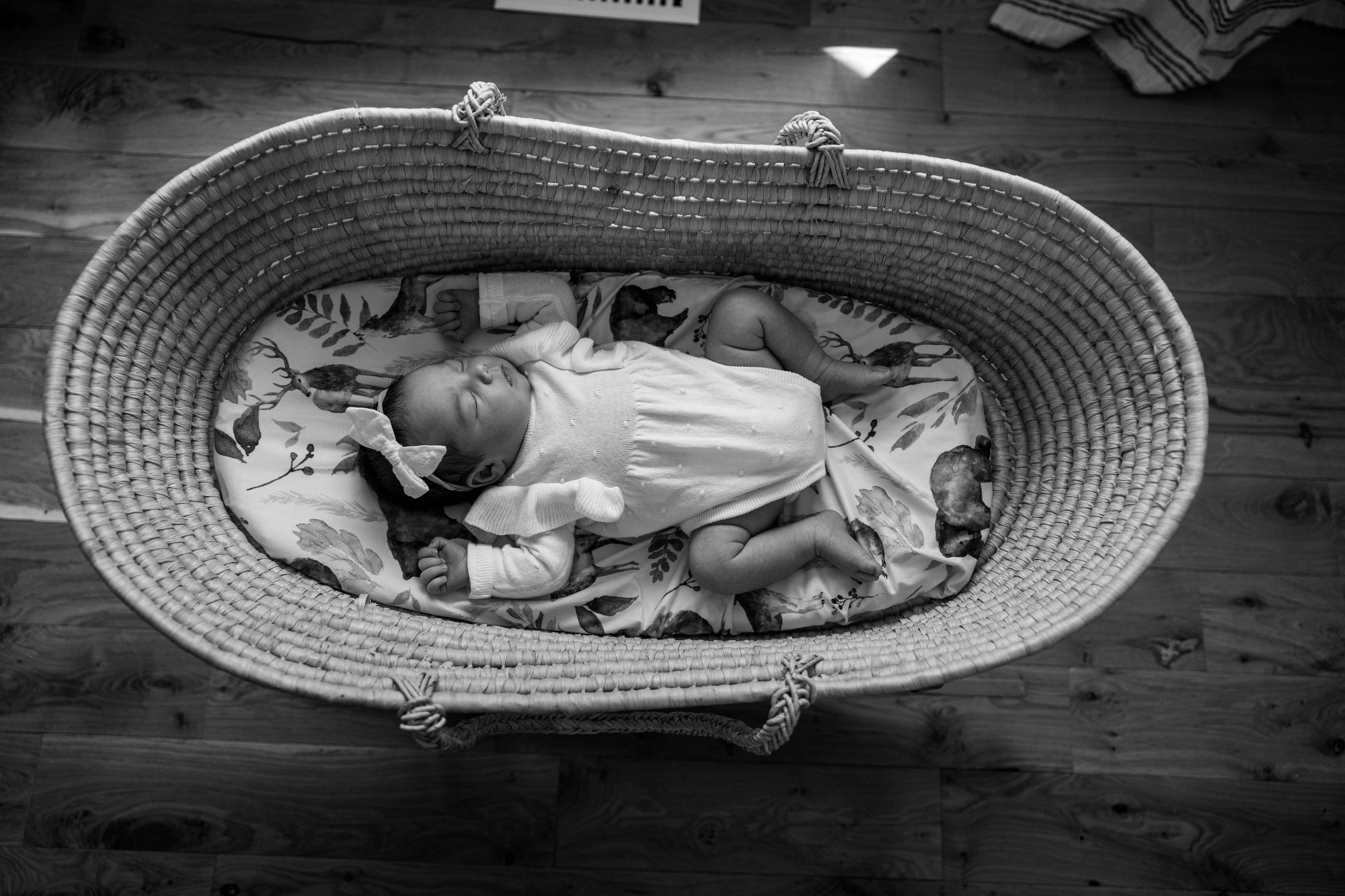 Ksenia, Andriy, Lev, Mila. Wedding Photographer in Winnipeg — Cinematic & Timeless by Vitiuk Photography