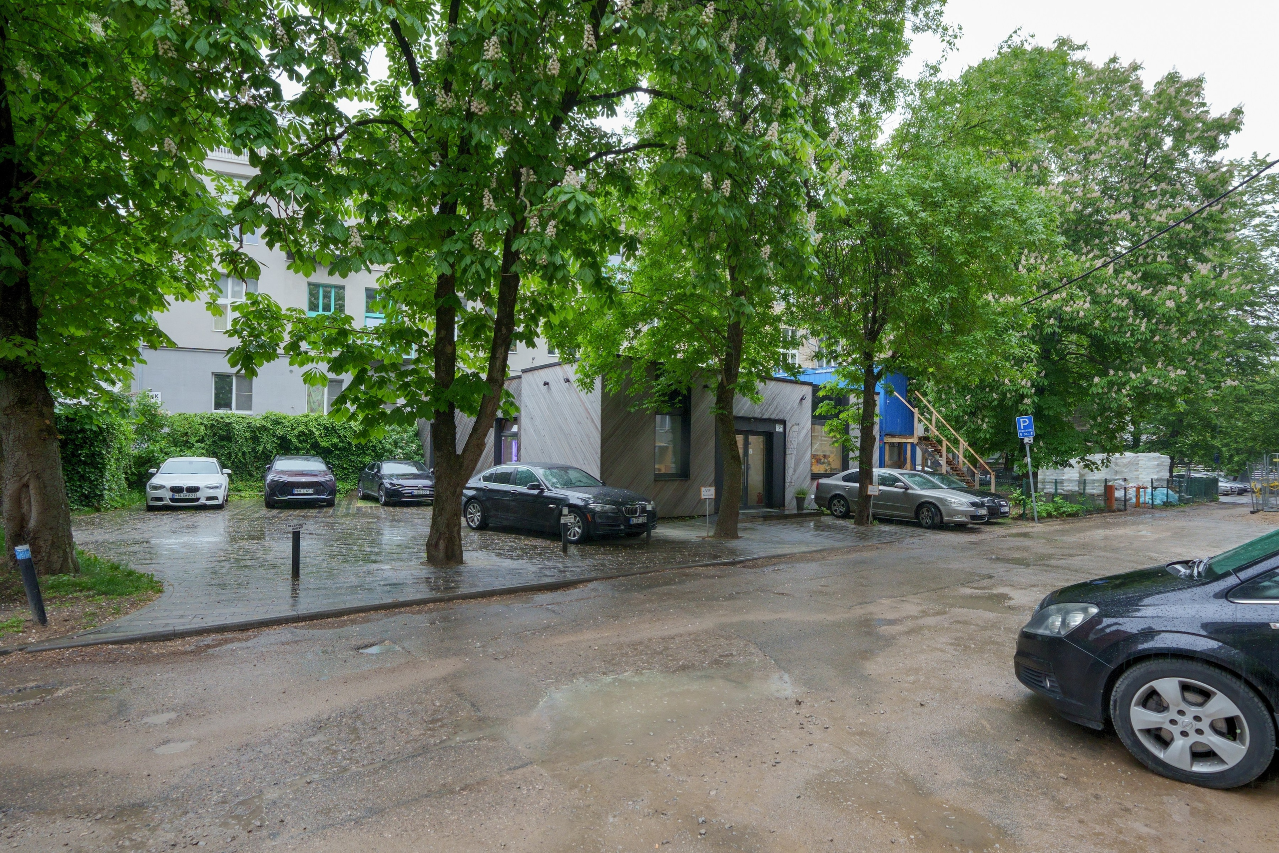 Naugarduko g. 41. Elina Sapiega fotografė Vilniuje