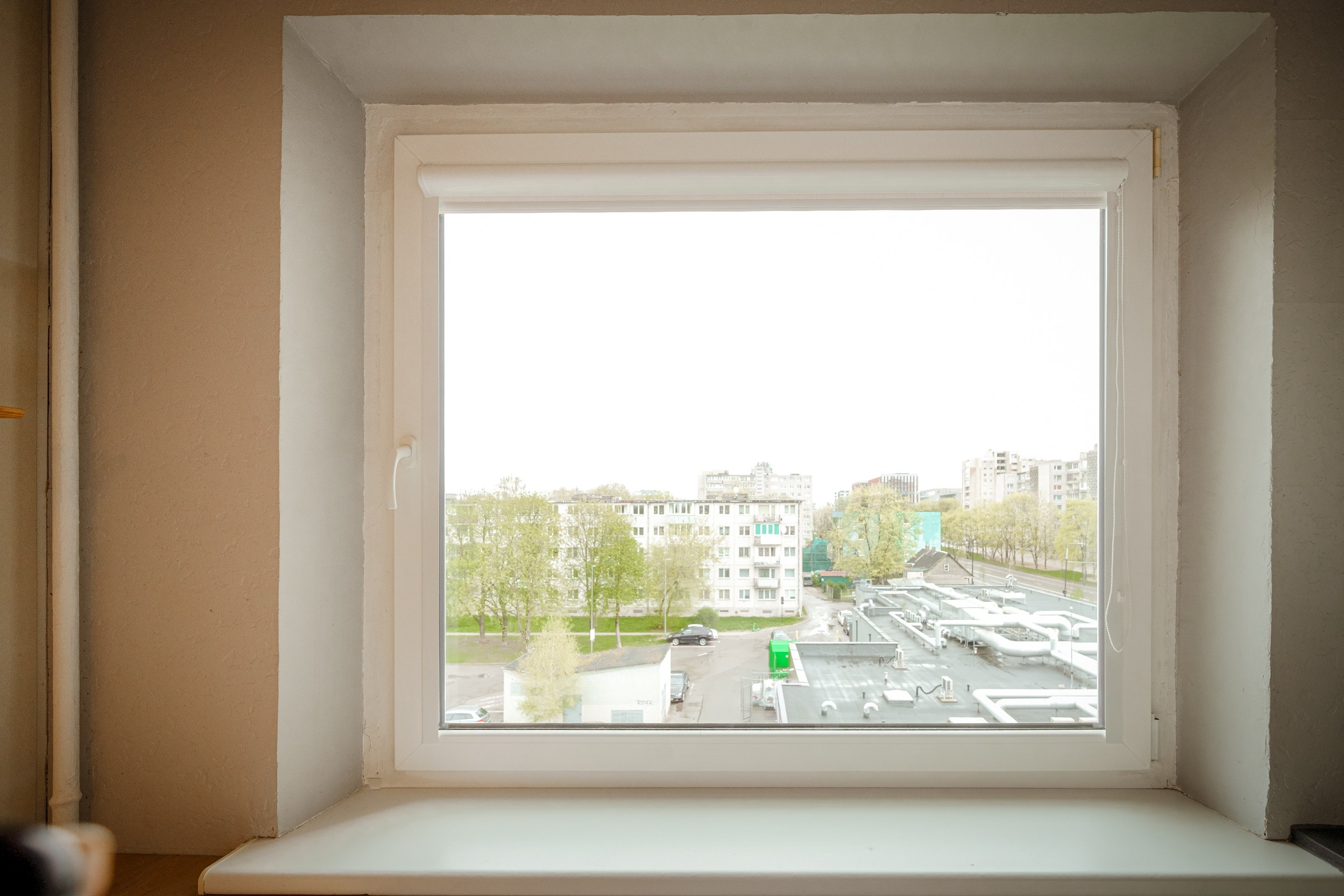 Savanorių g. 33. Elina Sapiega fotografė Vilniuje