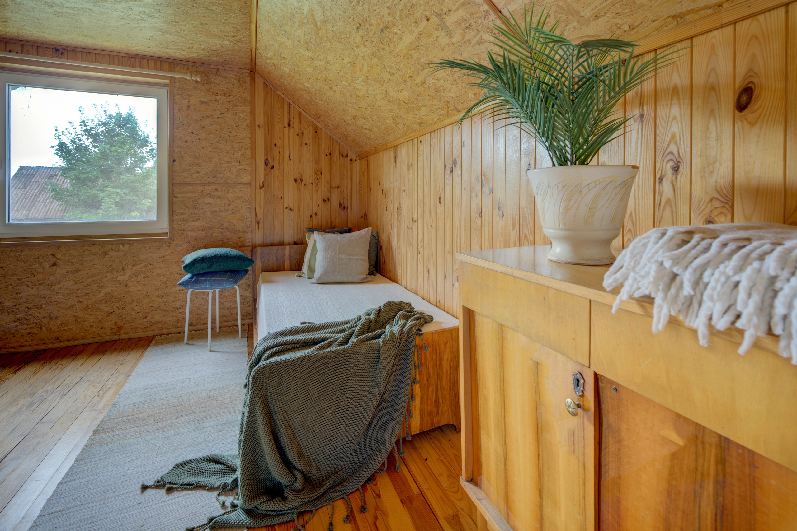 Varėnos raj. Elina Sapiega fotografė Vilniuje