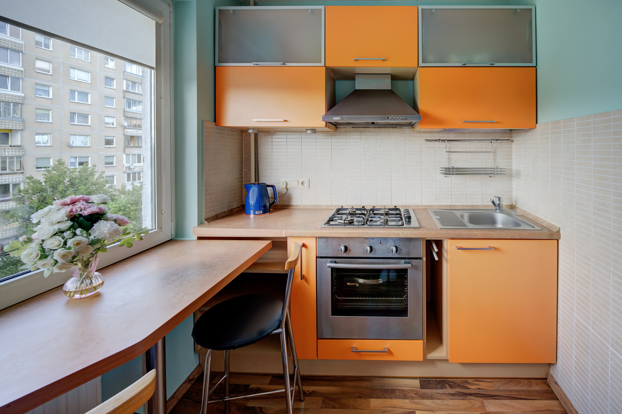 Viršuliškių g. 29. Elina Sapiega fotografė Vilniuje