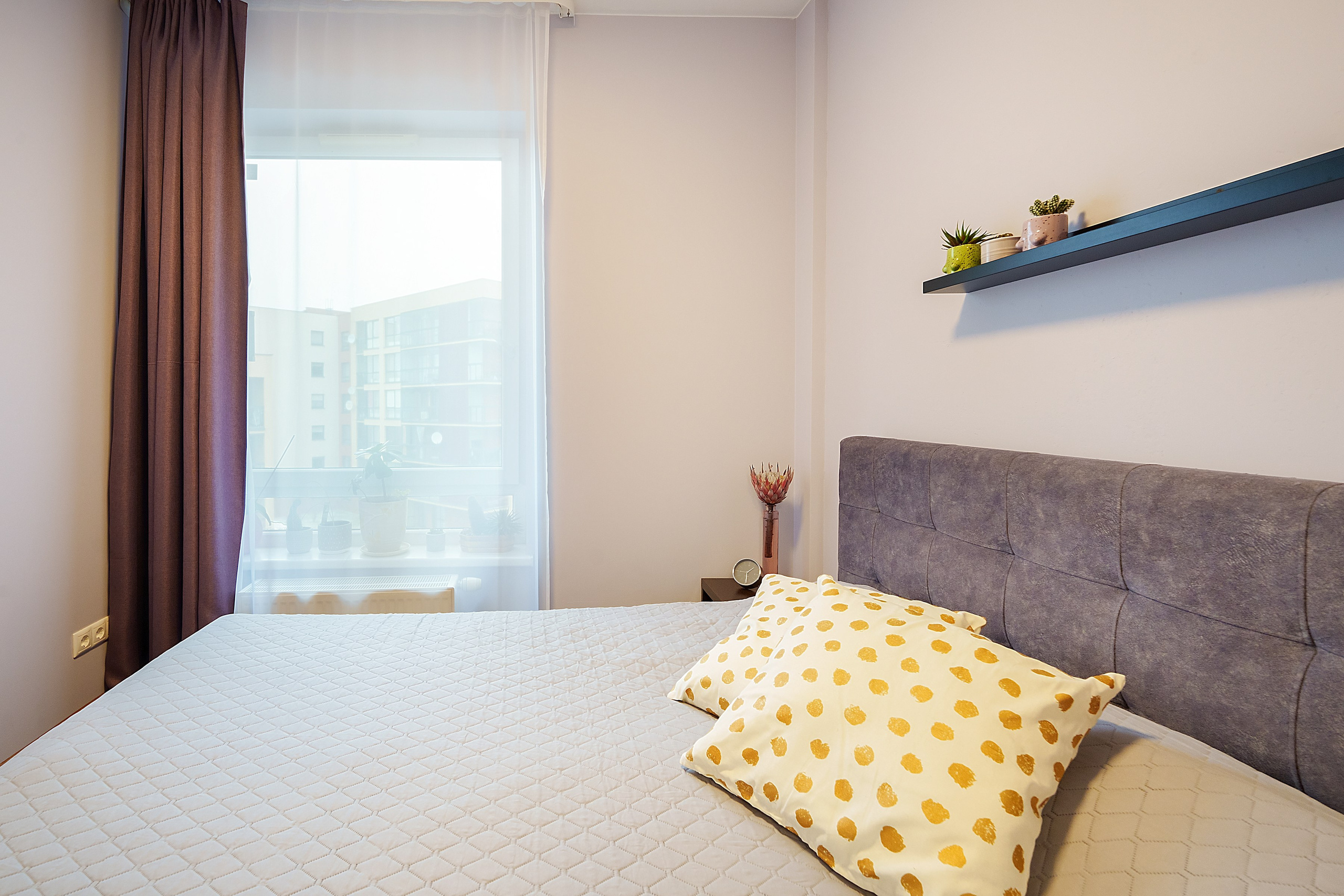 Bajorų kelias 1. Elina Sapiega fotografė Vilniuje