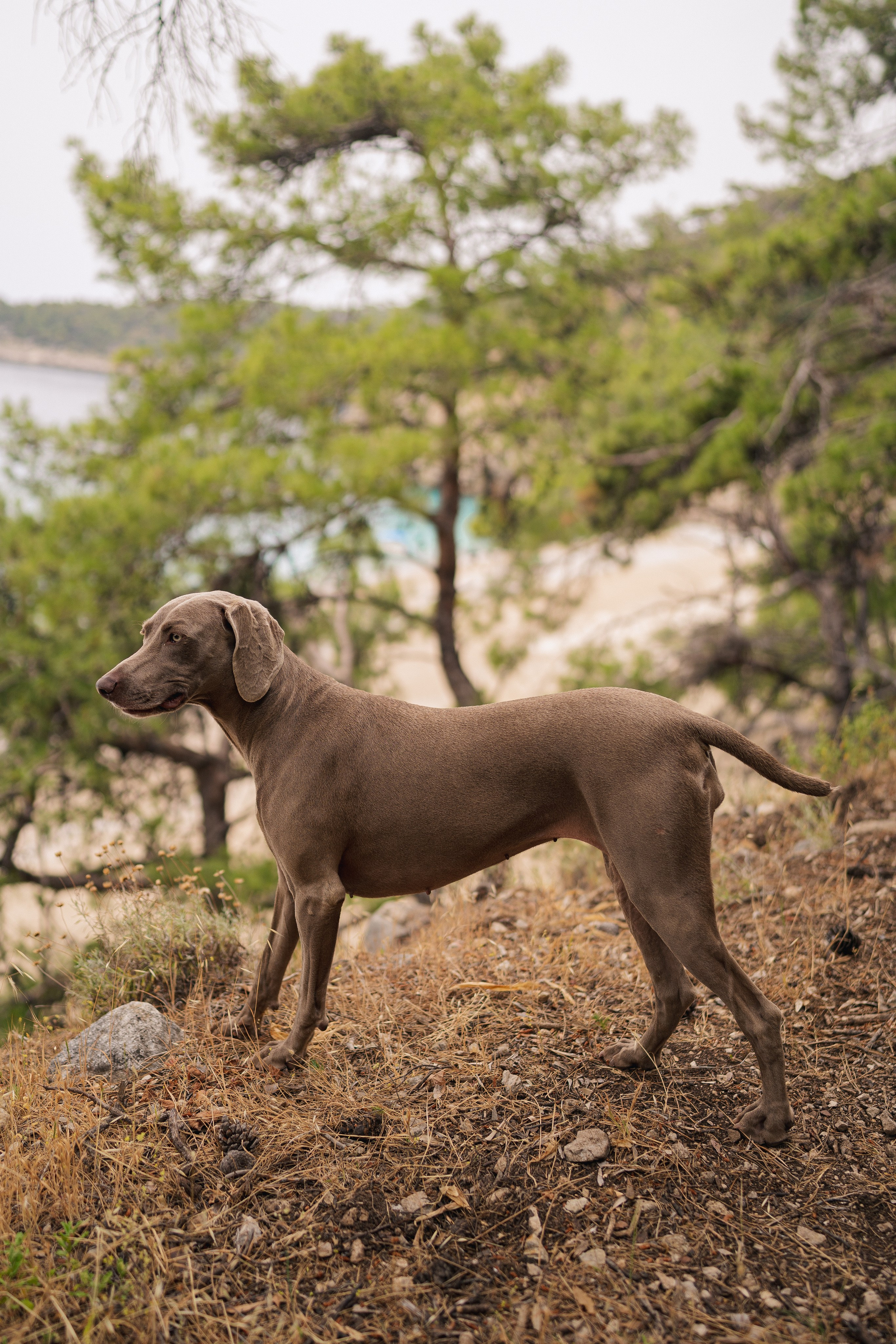 Хайкинг Ликийская тропа. Фотограф Москва Ларина Юлия