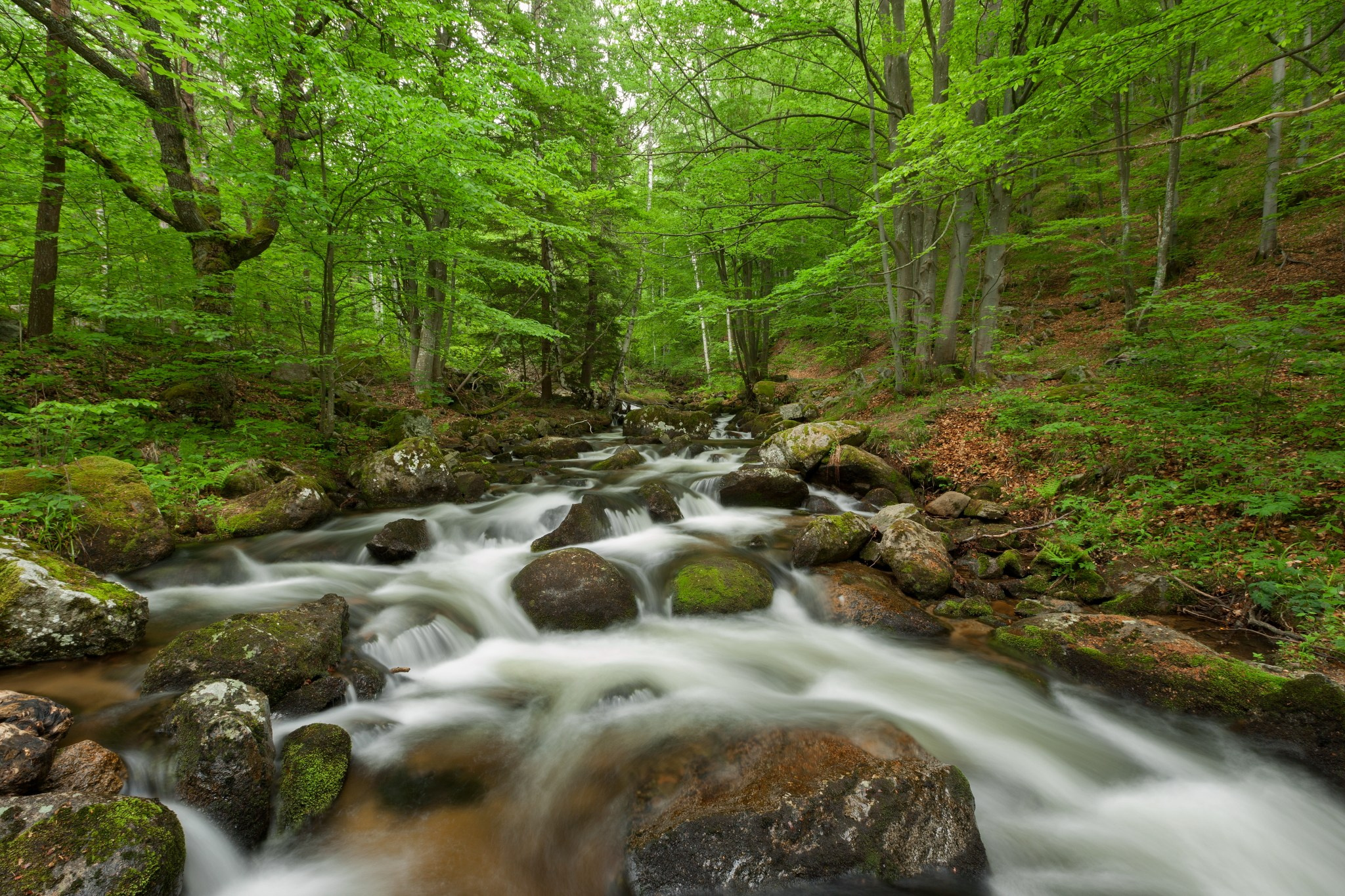 Планини. Александър Сандев - website