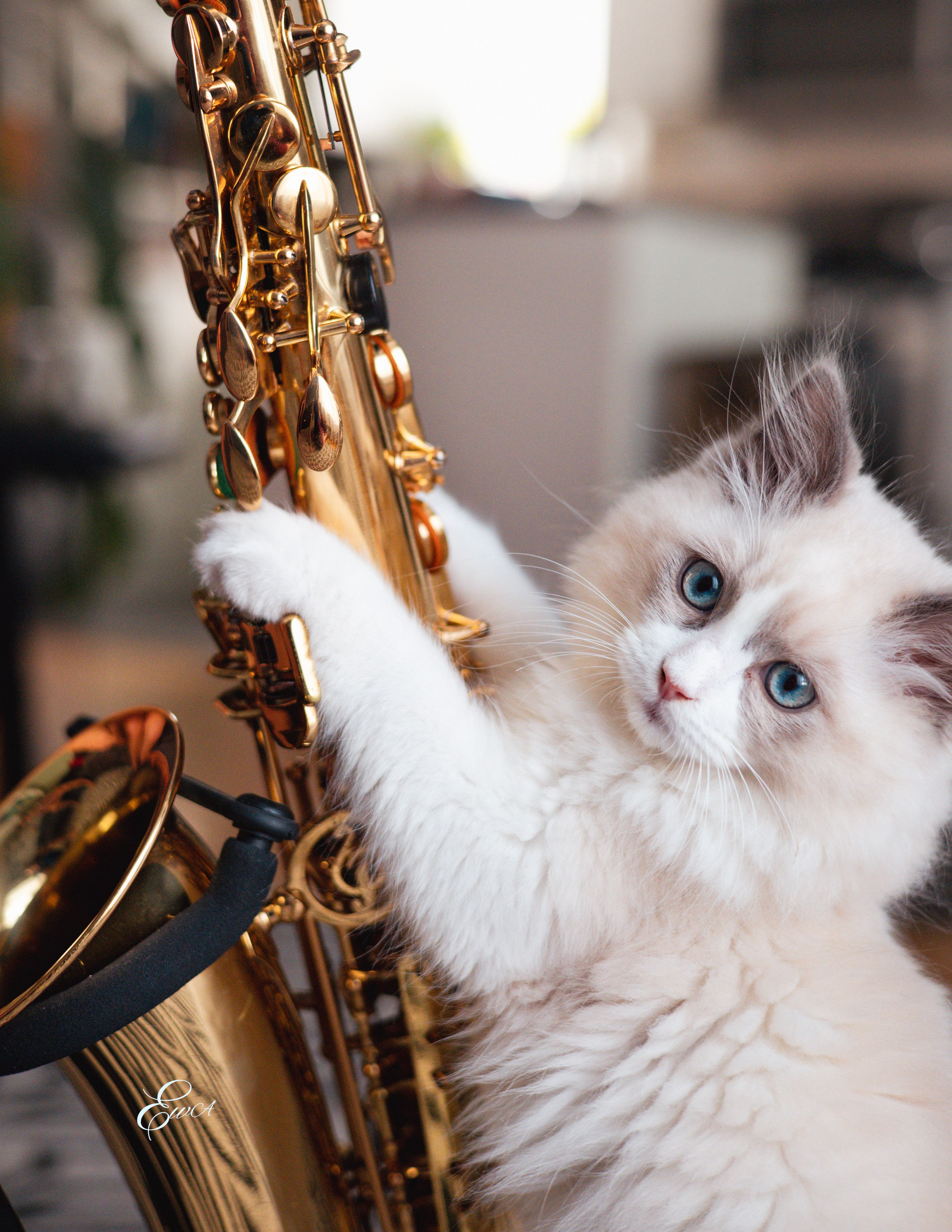 Le monde autour de nous. Photographe de famille à Montréal Ewa Molchanovskaya