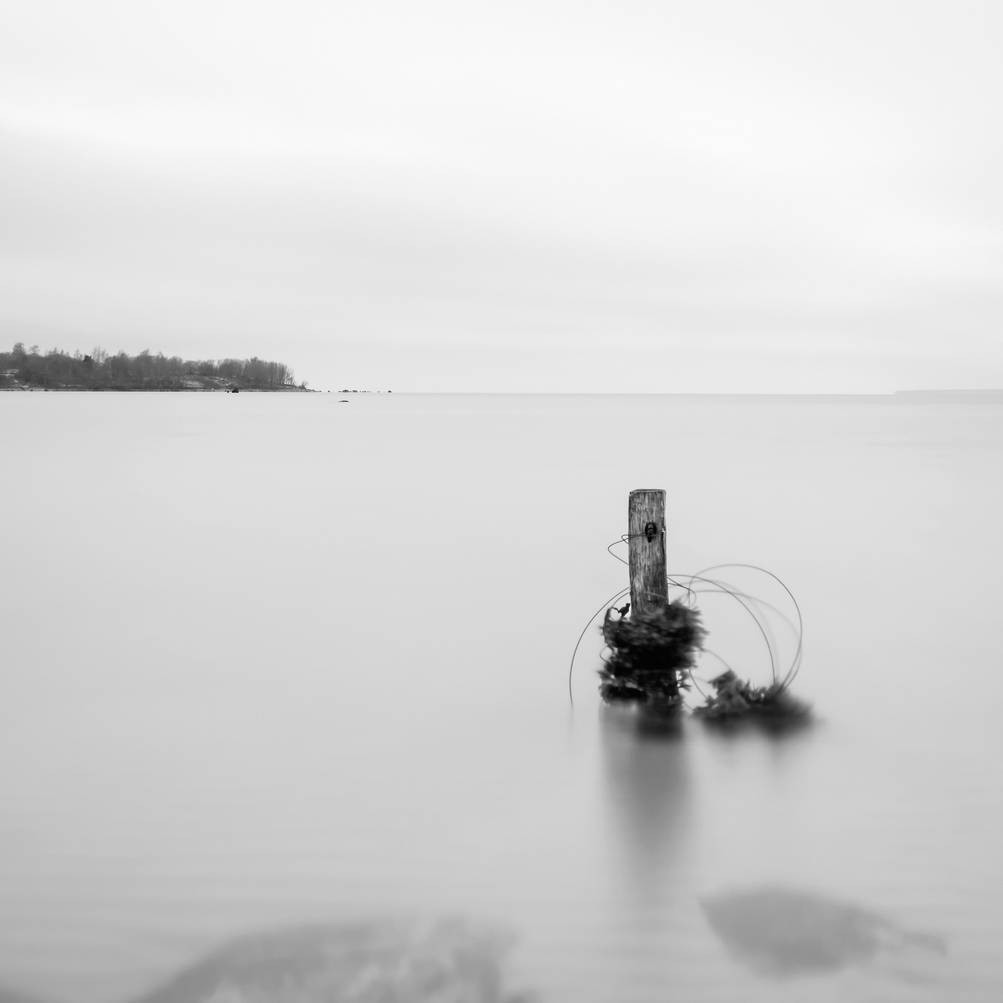 Art. Aleksandr Abrosimov Photography