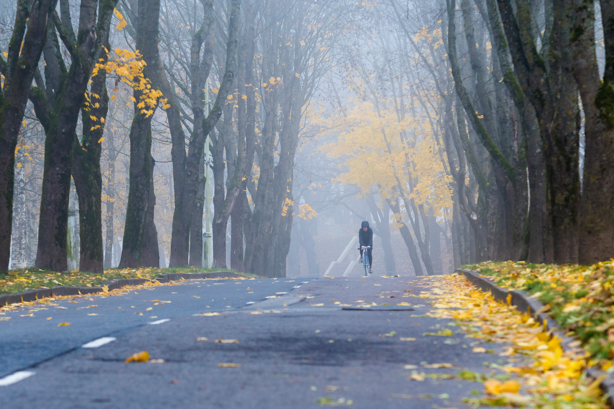 Сityscape. Городской пейзаж. Aleksandr Abrosimov Photography