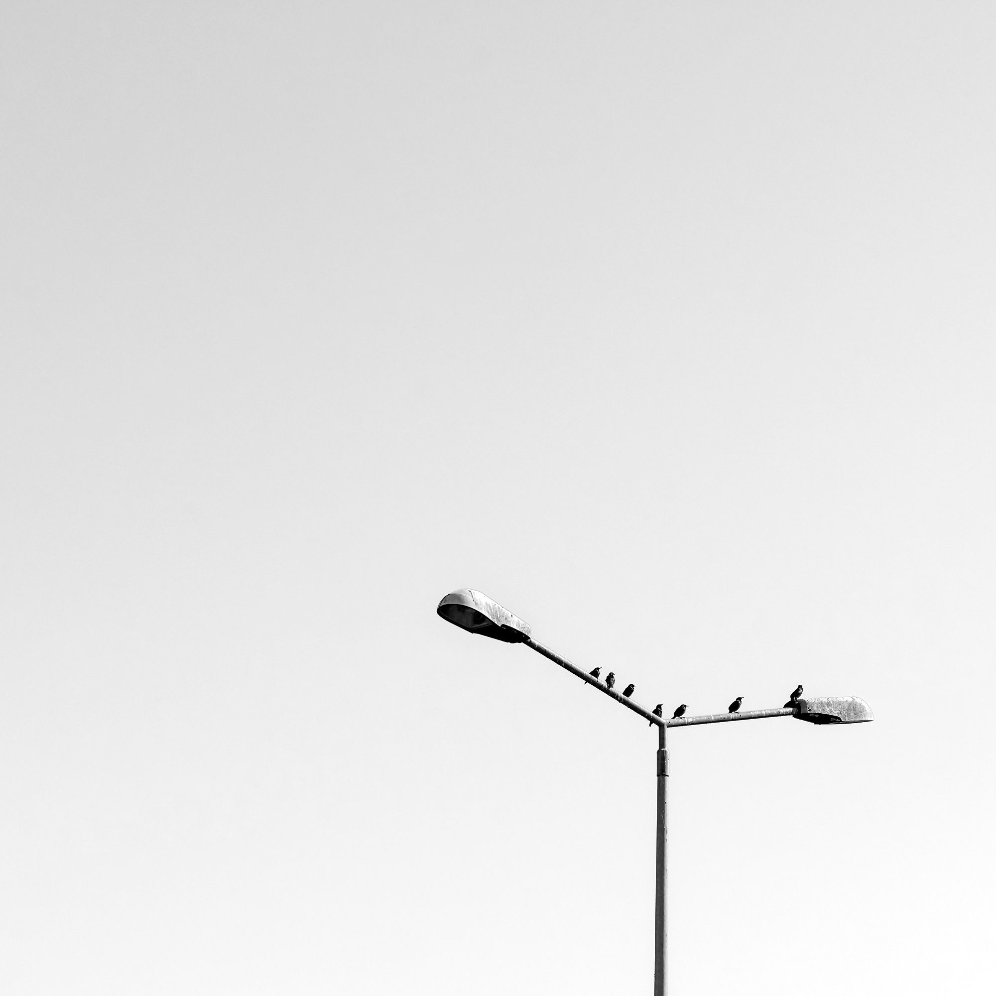 Art. Aleksandr Abrosimov Photography