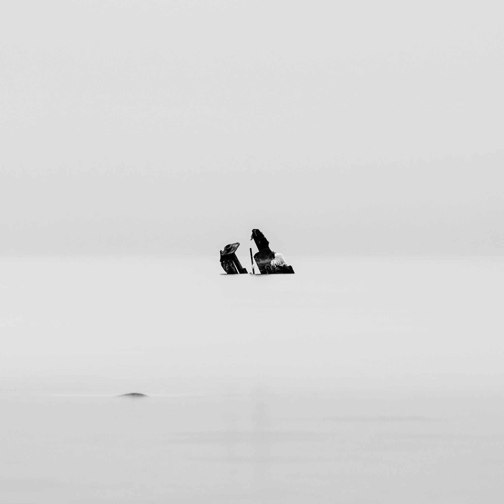 Art. Aleksandr Abrosimov Photography