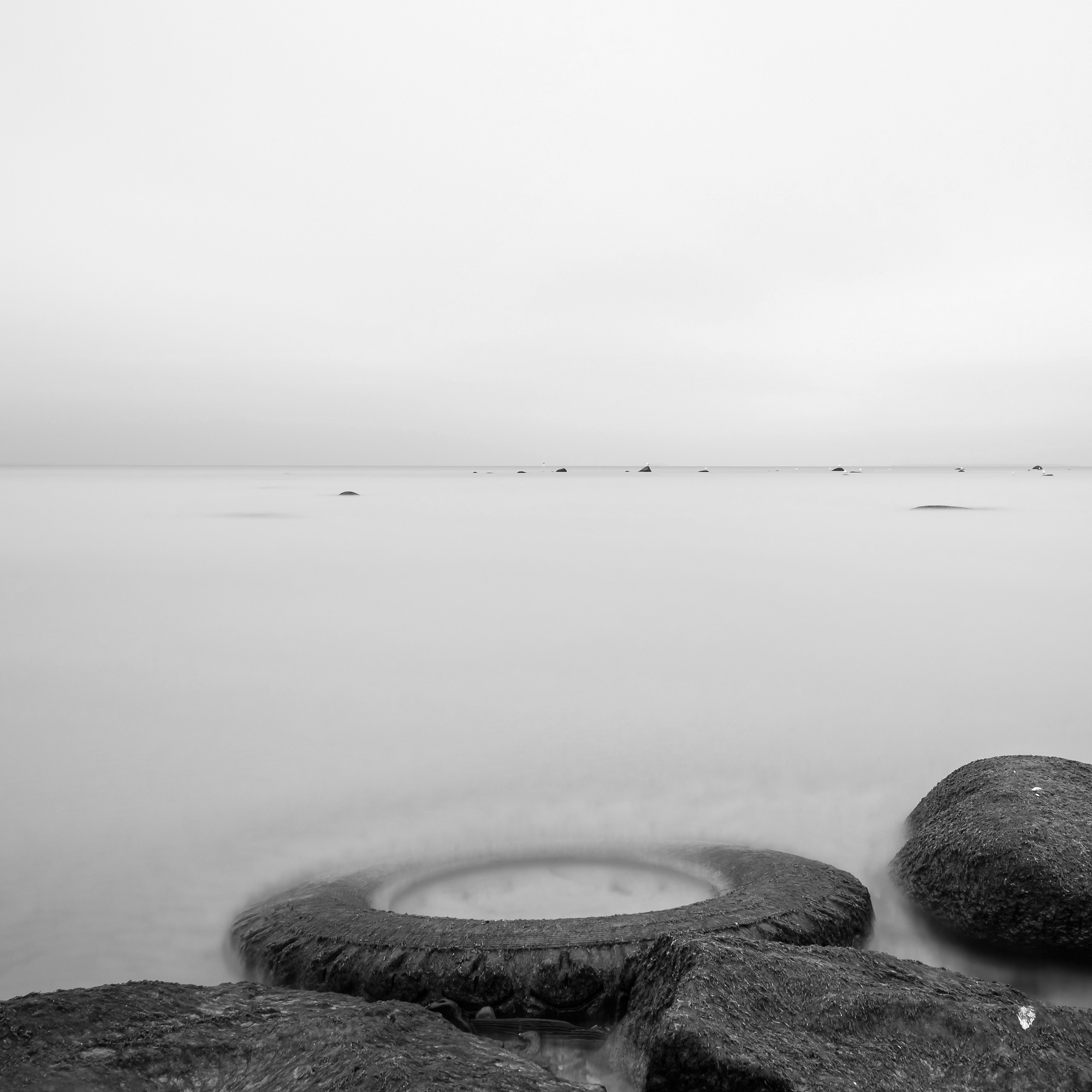 Art. Aleksandr Abrosimov Photography