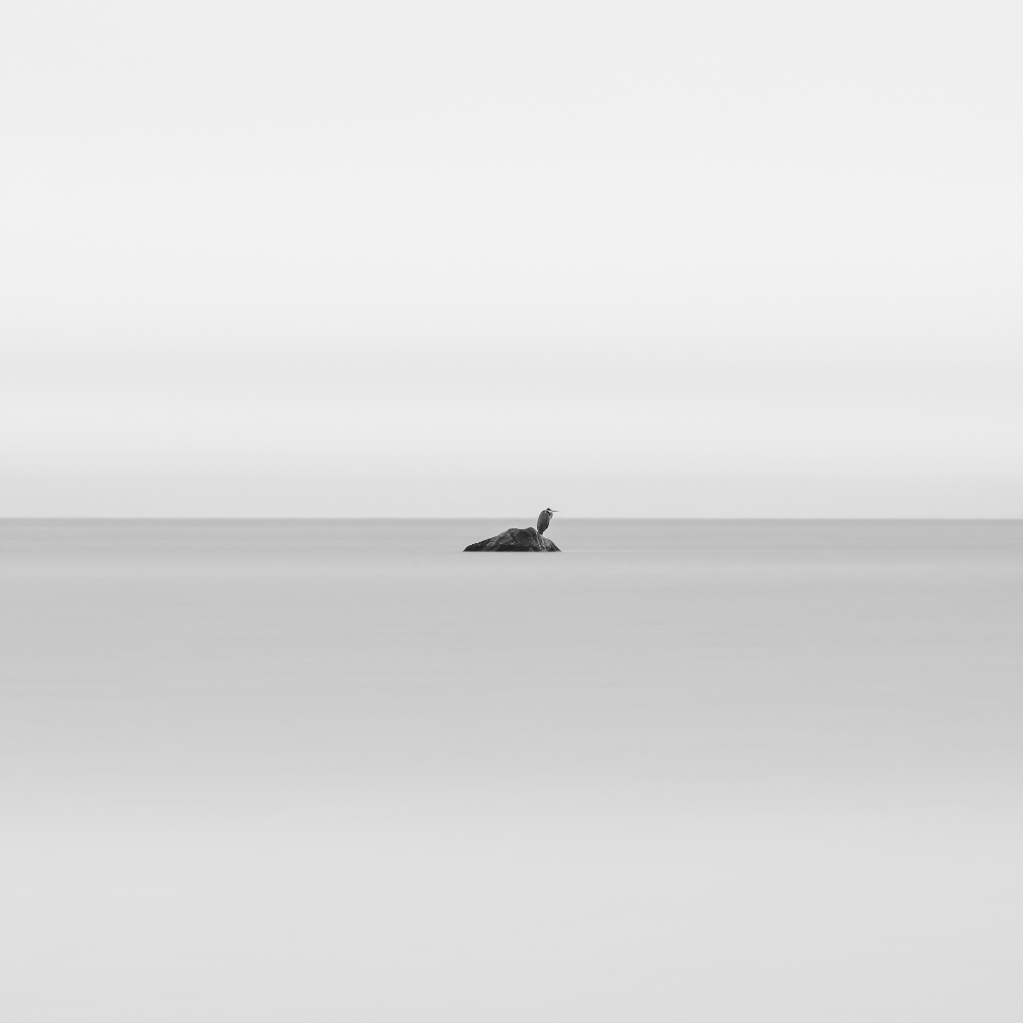 Art. Aleksandr Abrosimov Photography