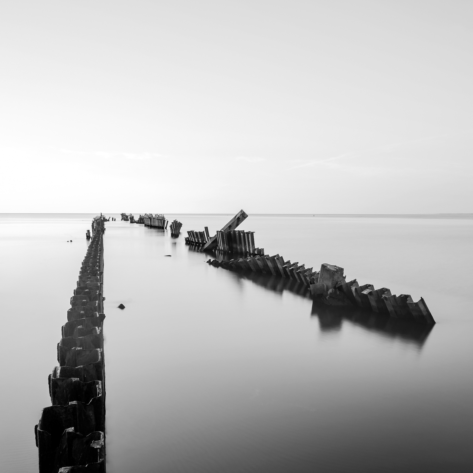 Art. Aleksandr Abrosimov Photography