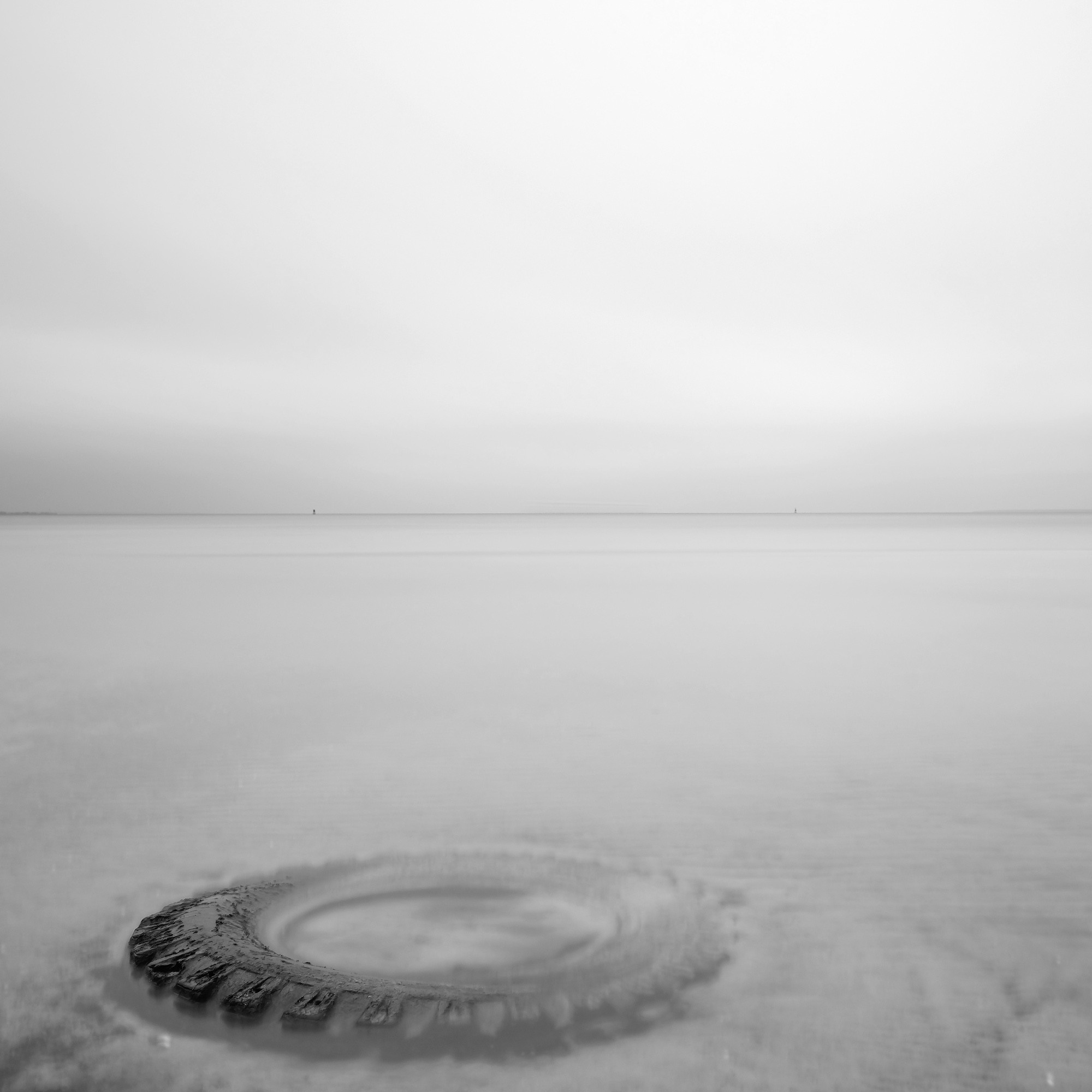 Art. Aleksandr Abrosimov Photography