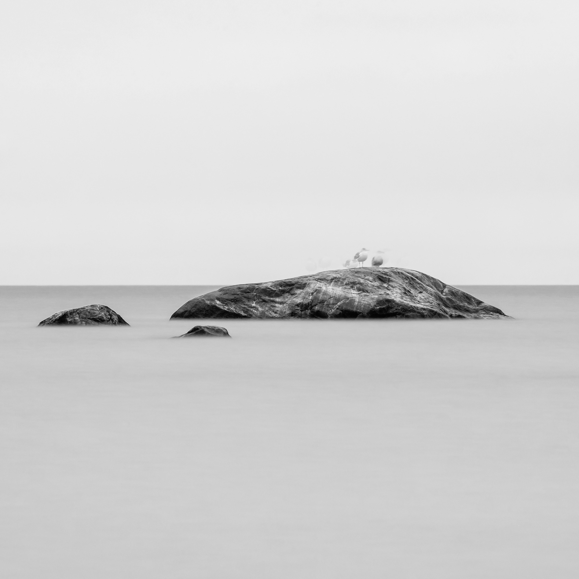 Art. Aleksandr Abrosimov Photography