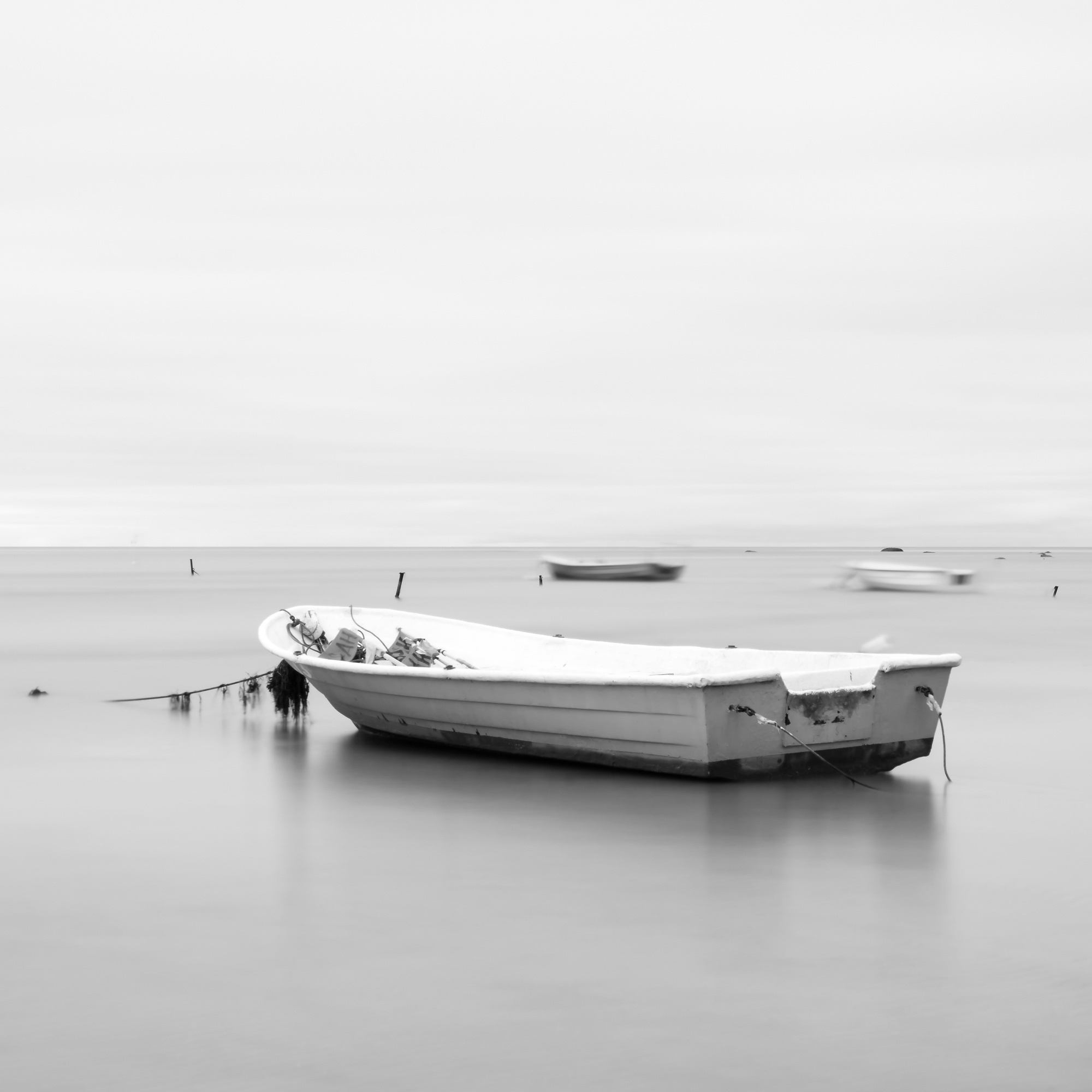 Art. Aleksandr Abrosimov Photography