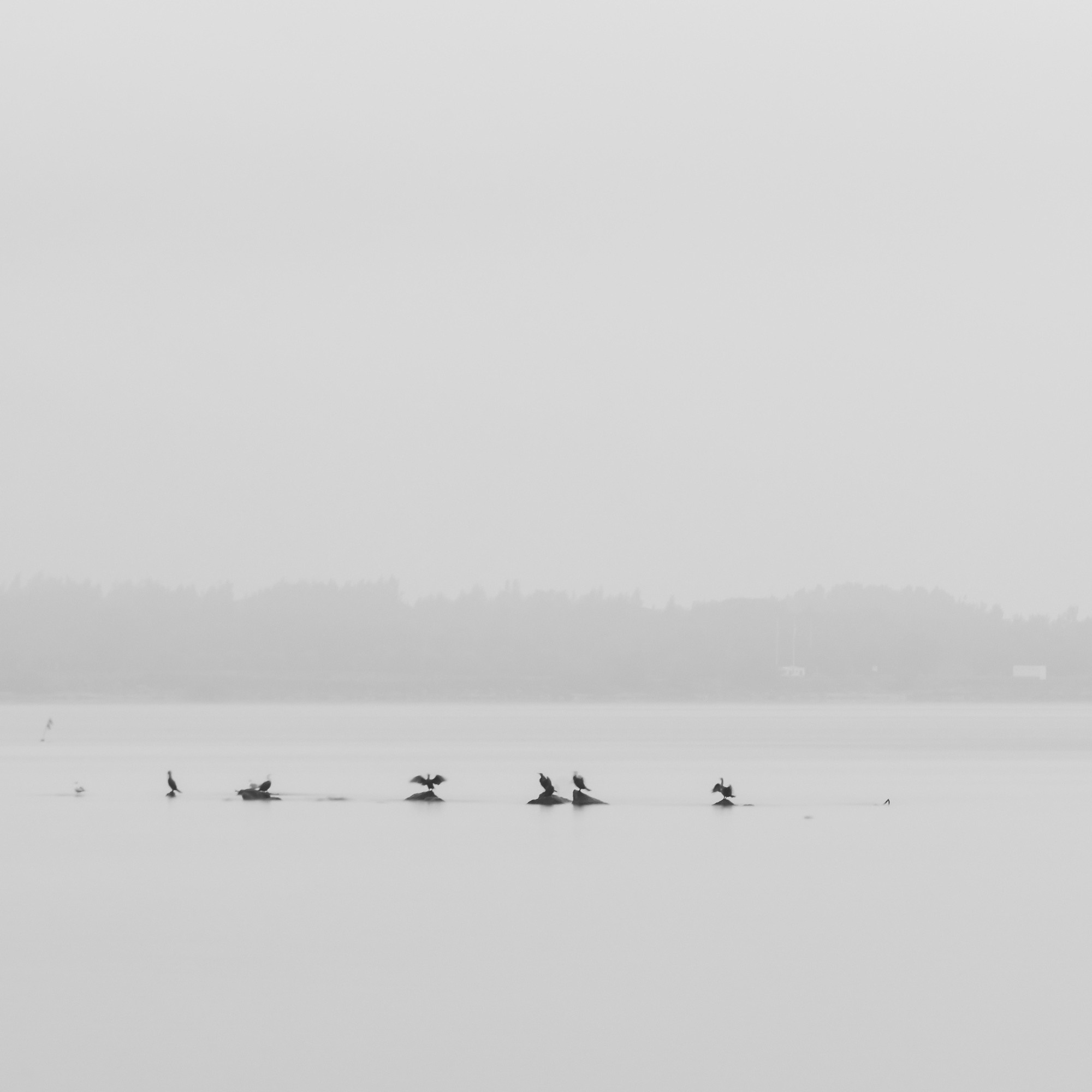 Art. Aleksandr Abrosimov Photography