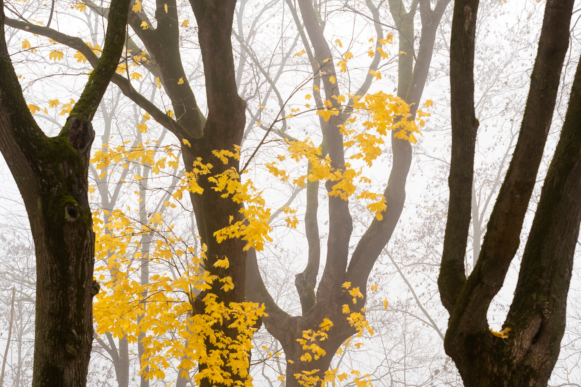 Landscapes. Пейзажи. Aleksandr Abrosimov Photography