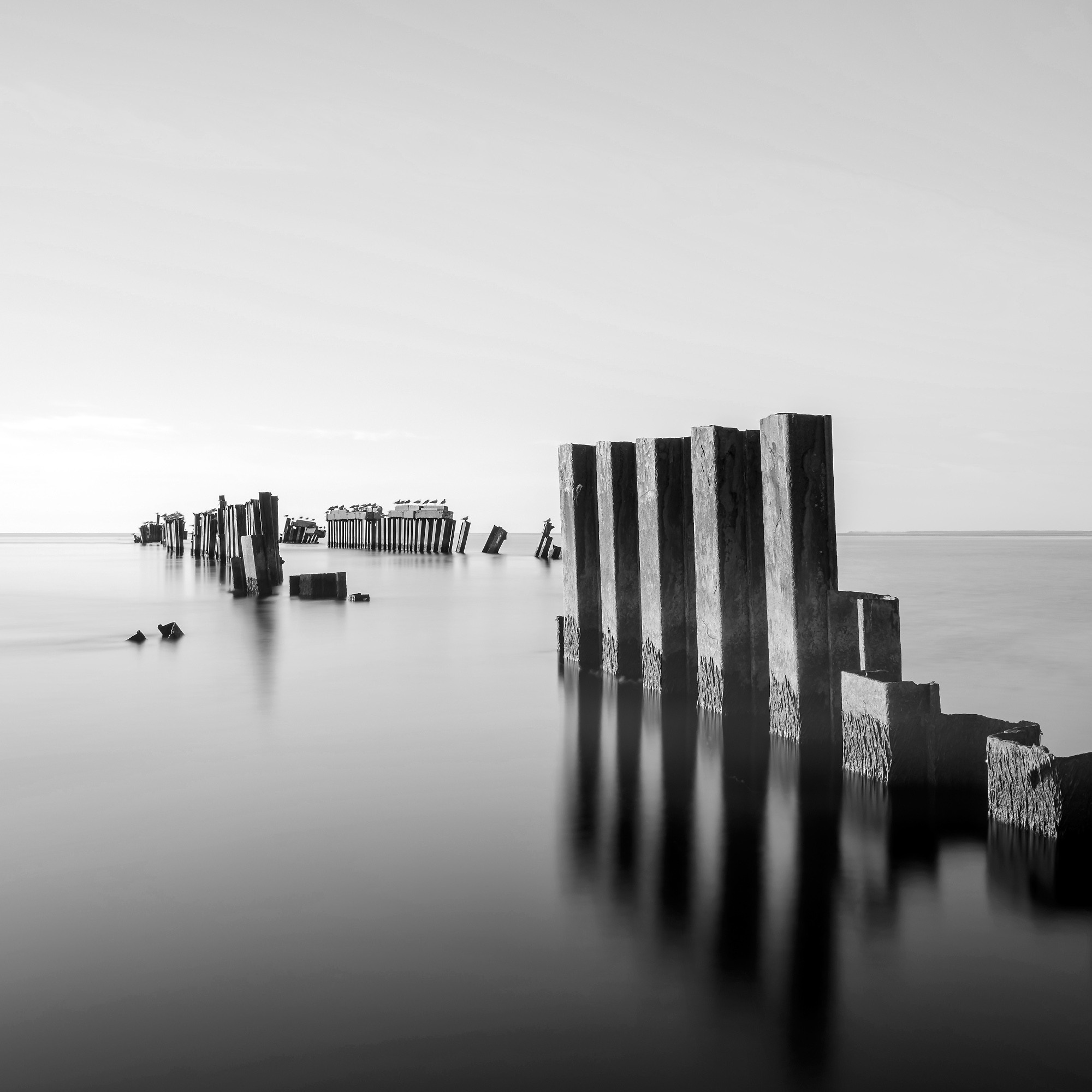 Art. Aleksandr Abrosimov Photography