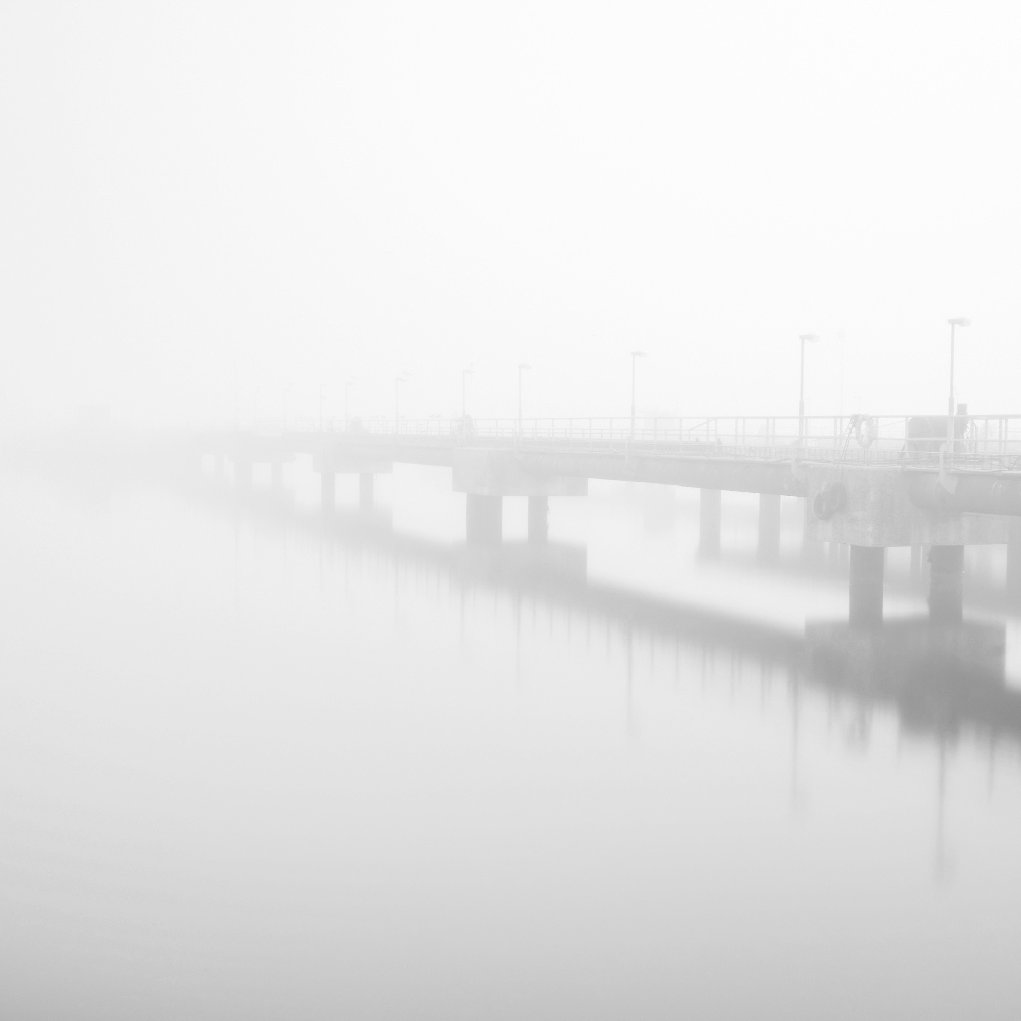 Art. Aleksandr Abrosimov Photography