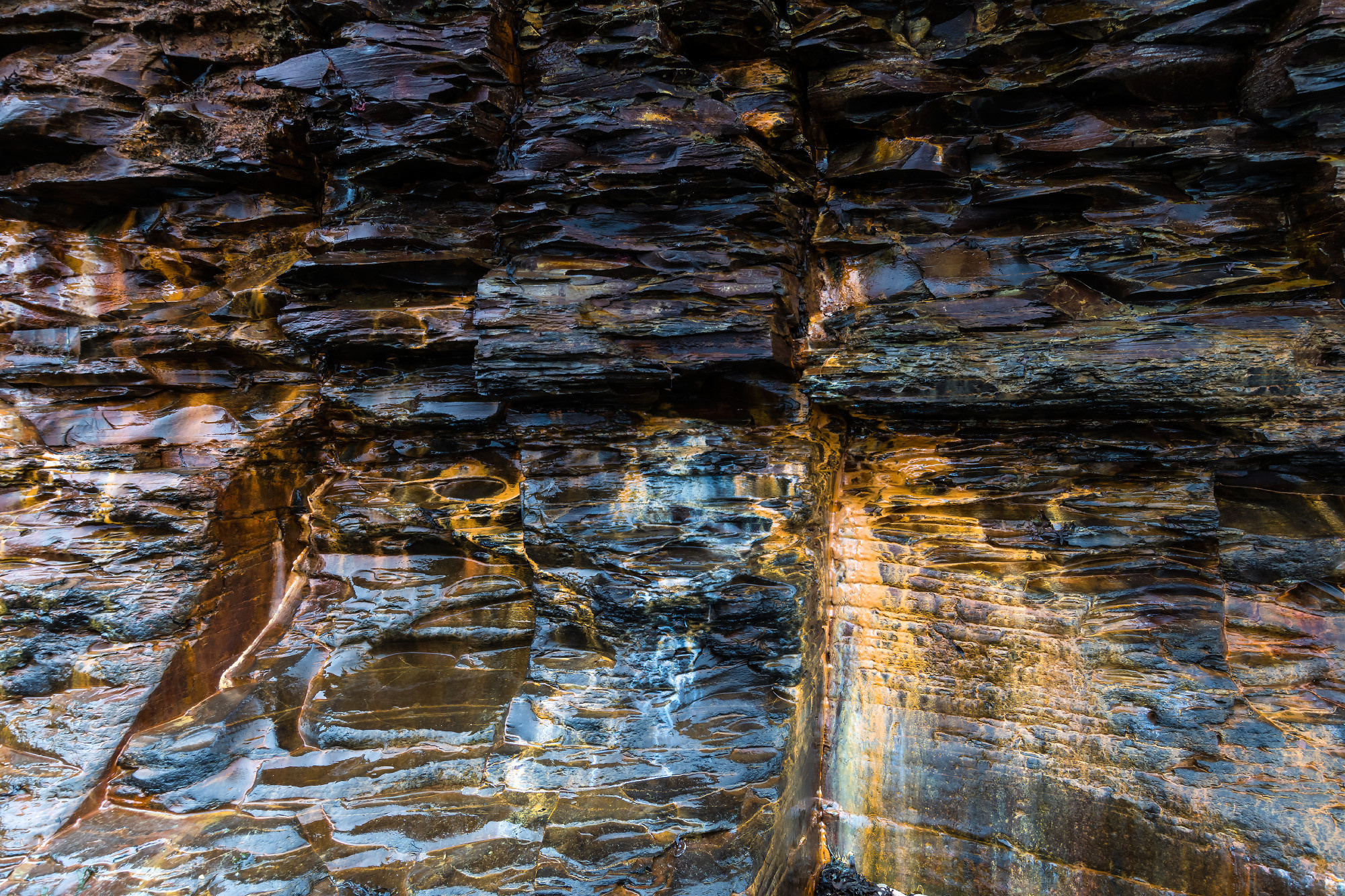 Nature. Природа. Aleksandr Abrosimov Photography