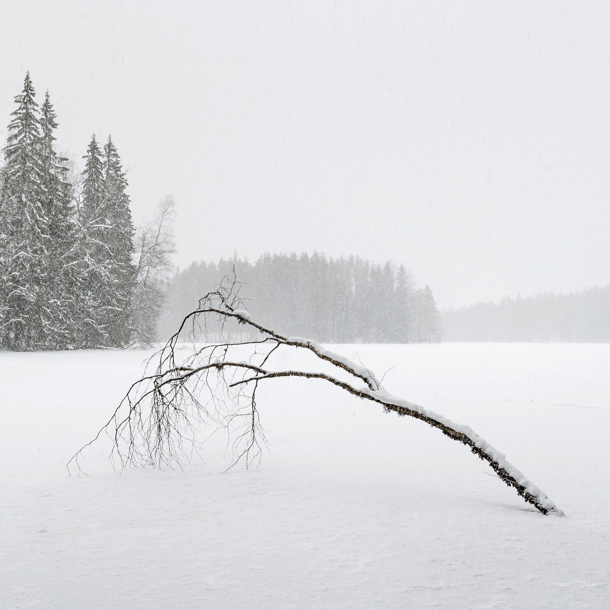 Winter landscape. Зимние пейзажи. Aleksandr Abrosimov Photography