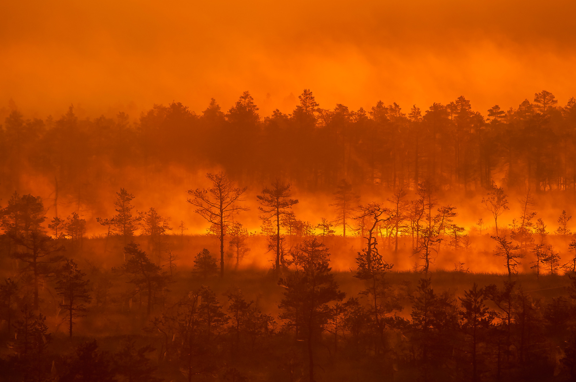 Landscapes. Пейзажи. Aleksandr Abrosimov Photography