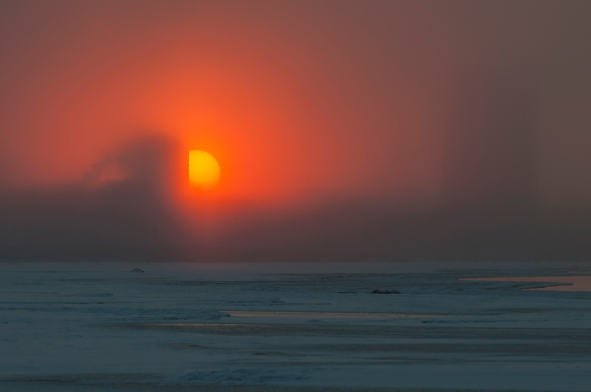 Winter landscape. Зимние пейзажи. Aleksandr Abrosimov Photography