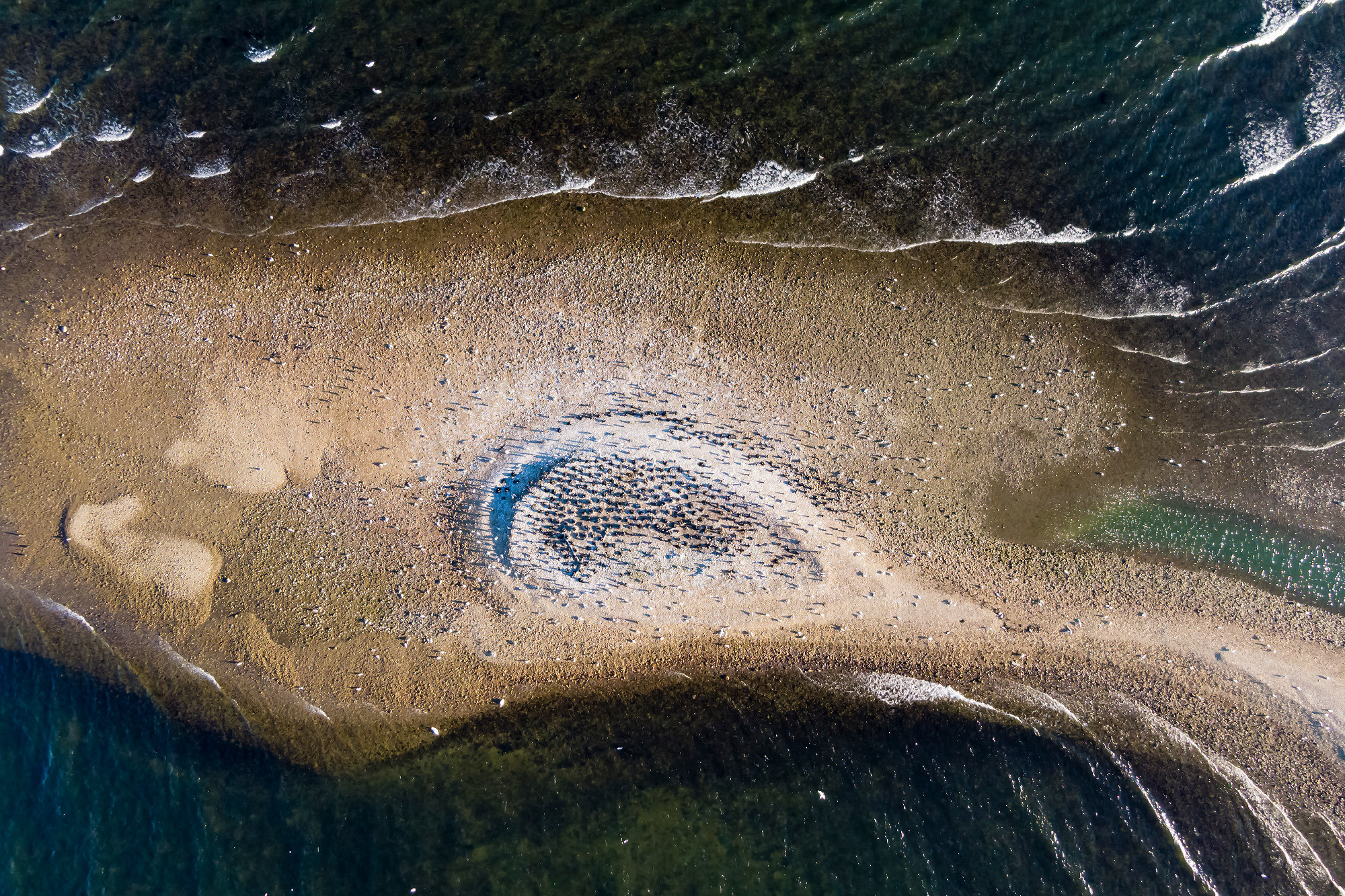 Aerial photography. Аэрофотосъемка. Aleksandr Abrosimov Photography