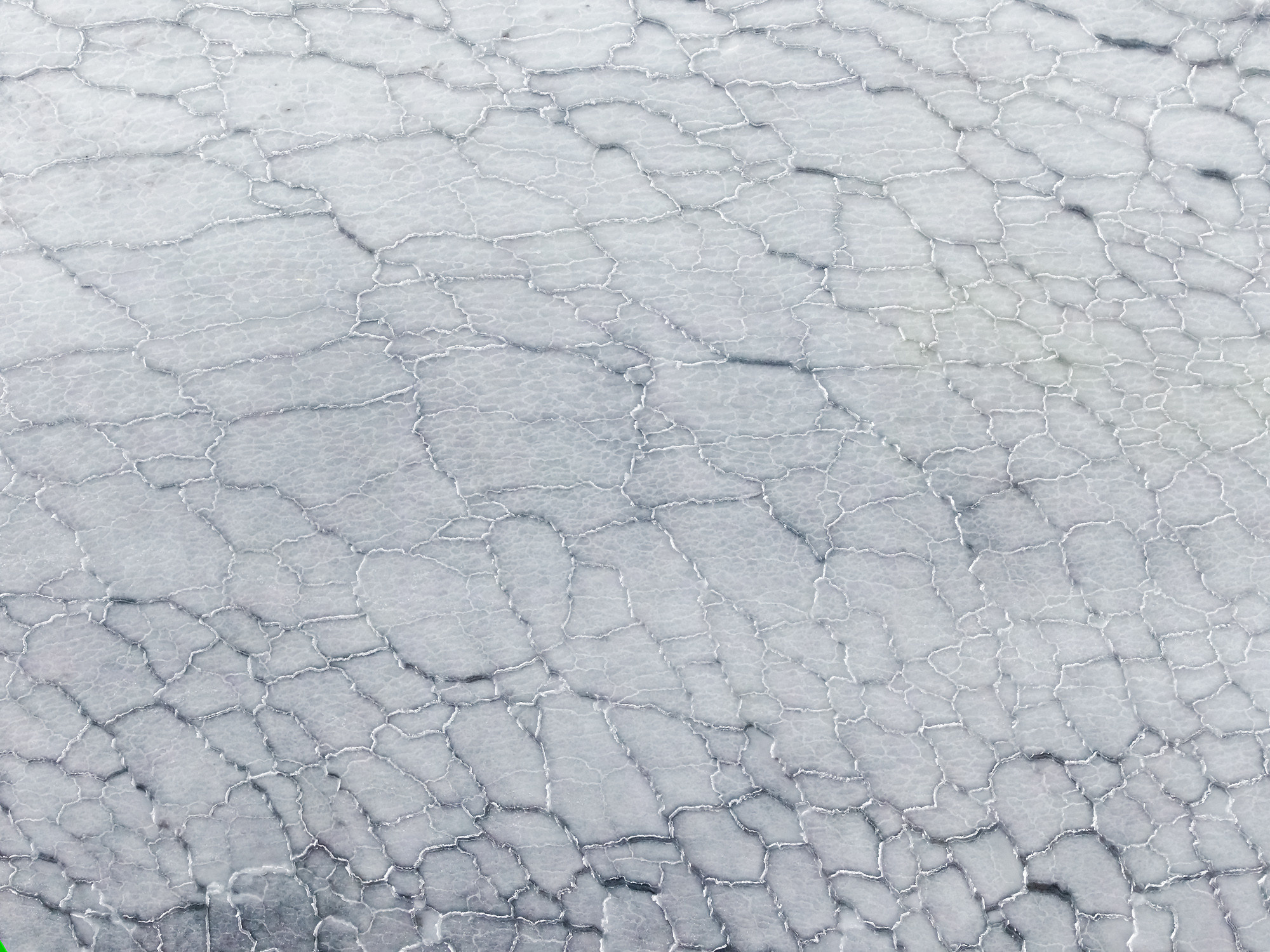 Рисунки природы. The drawings of nature. Aleksandr Abrosimov Photography