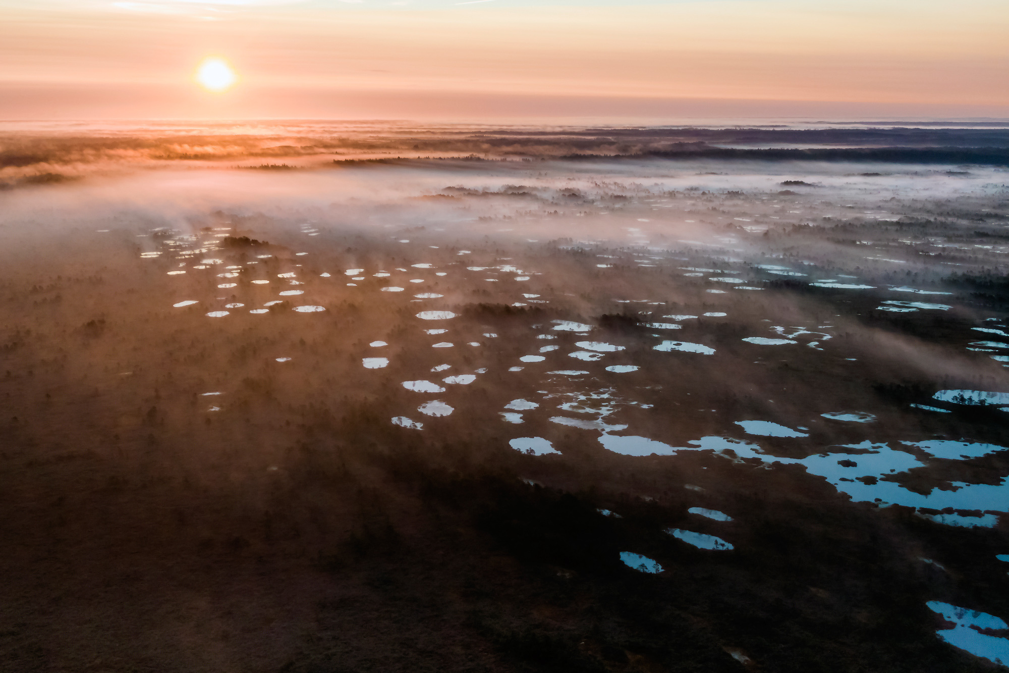 Aerial photography. Аэрофотосъемка. Aleksandr Abrosimov Photography