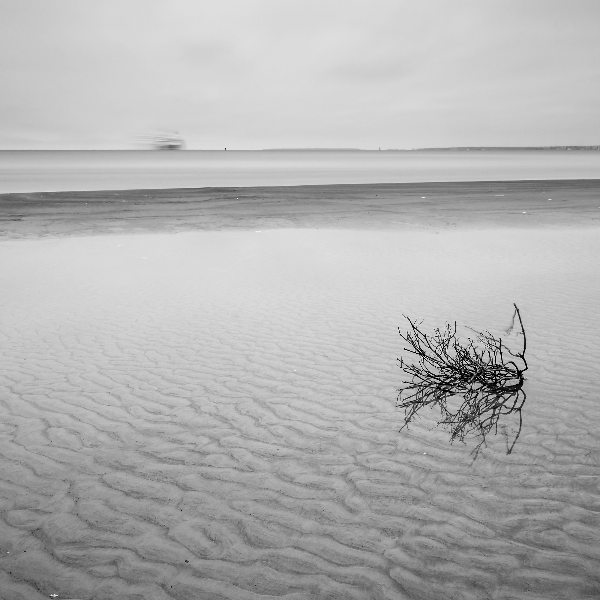 Art. Aleksandr Abrosimov Photography