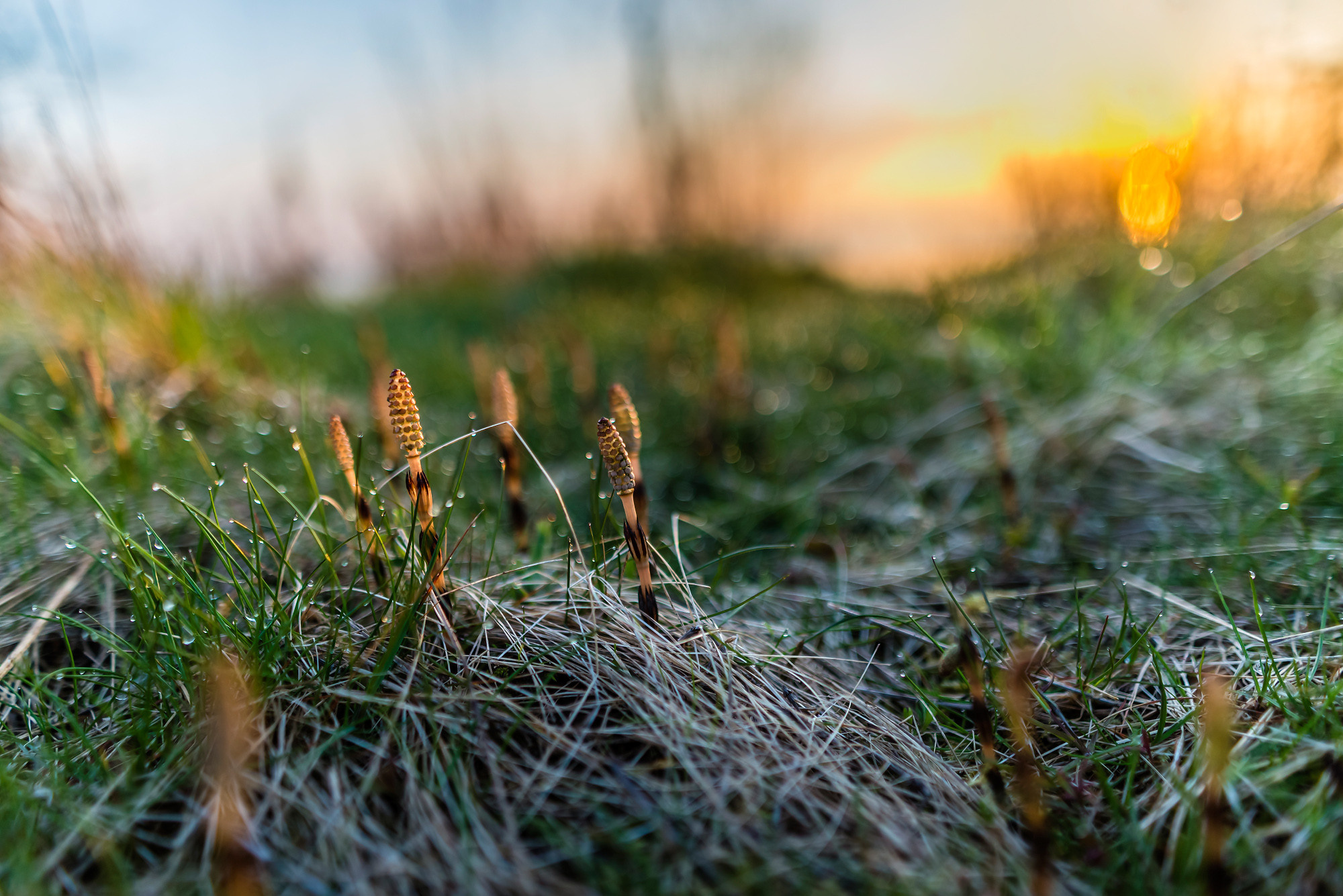 Nature. Природа. Aleksandr Abrosimov Photography