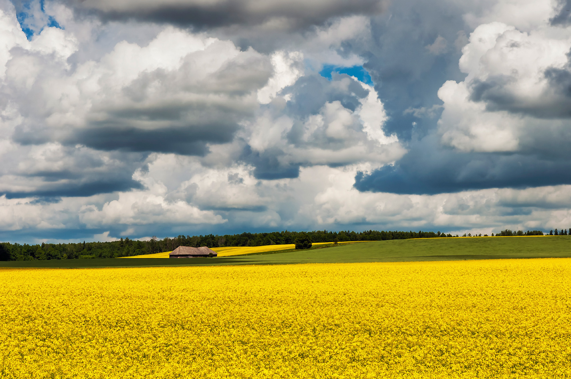 Landscapes. Пейзажи. Aleksandr Abrosimov Photography