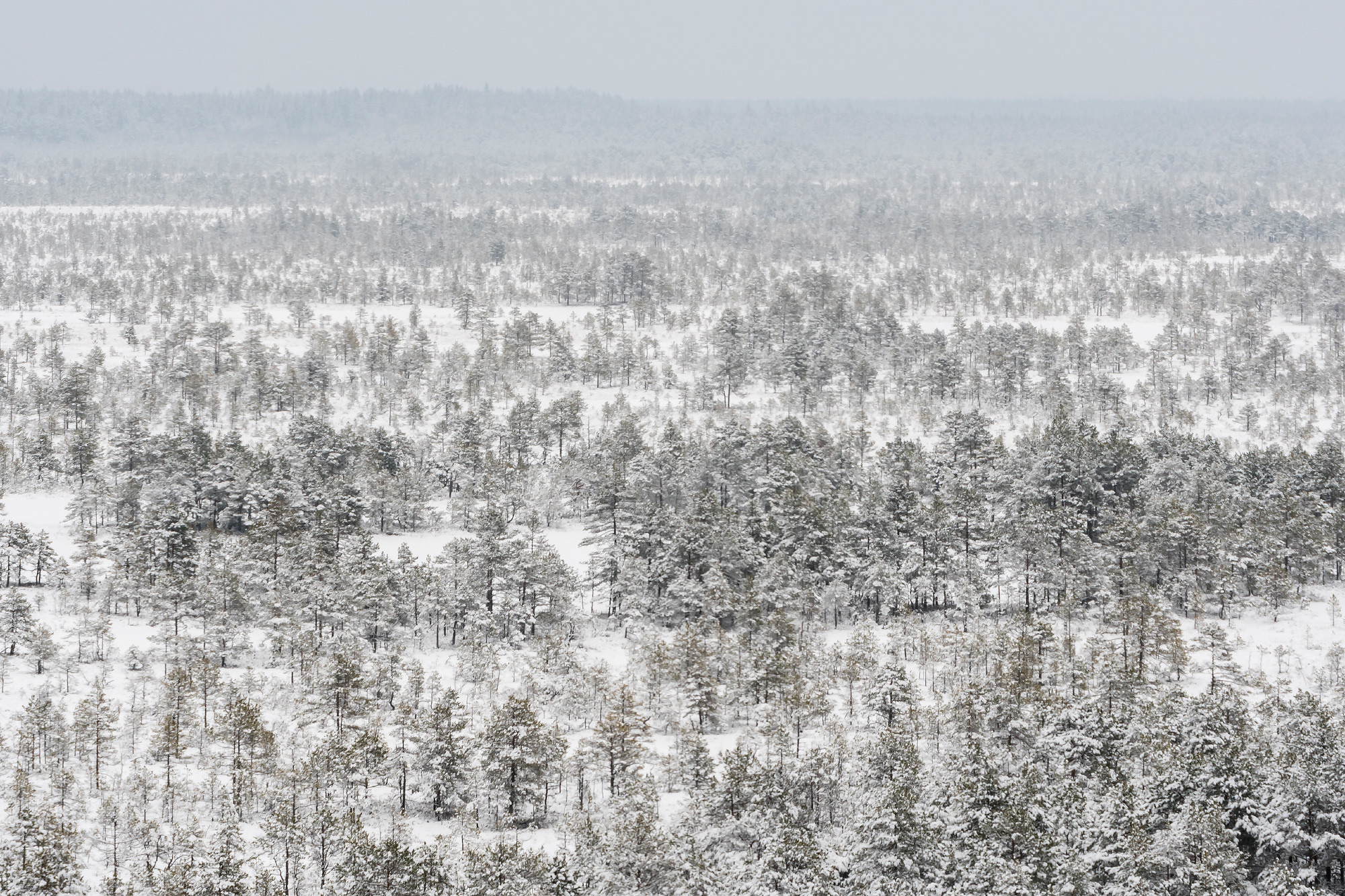 Winter landscape. Зимние пейзажи. Aleksandr Abrosimov Photography