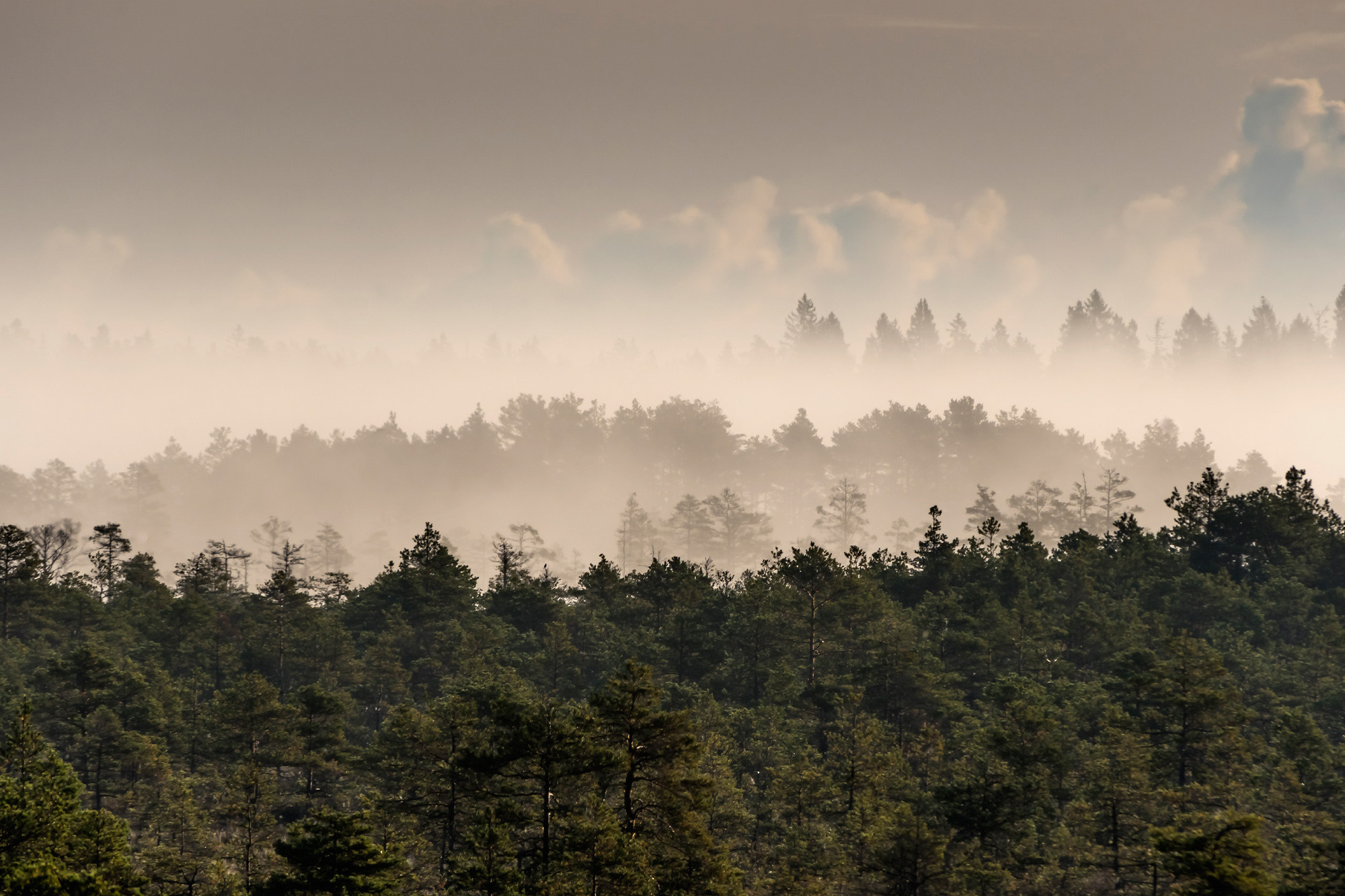 Landscapes. Пейзажи. Aleksandr Abrosimov Photography