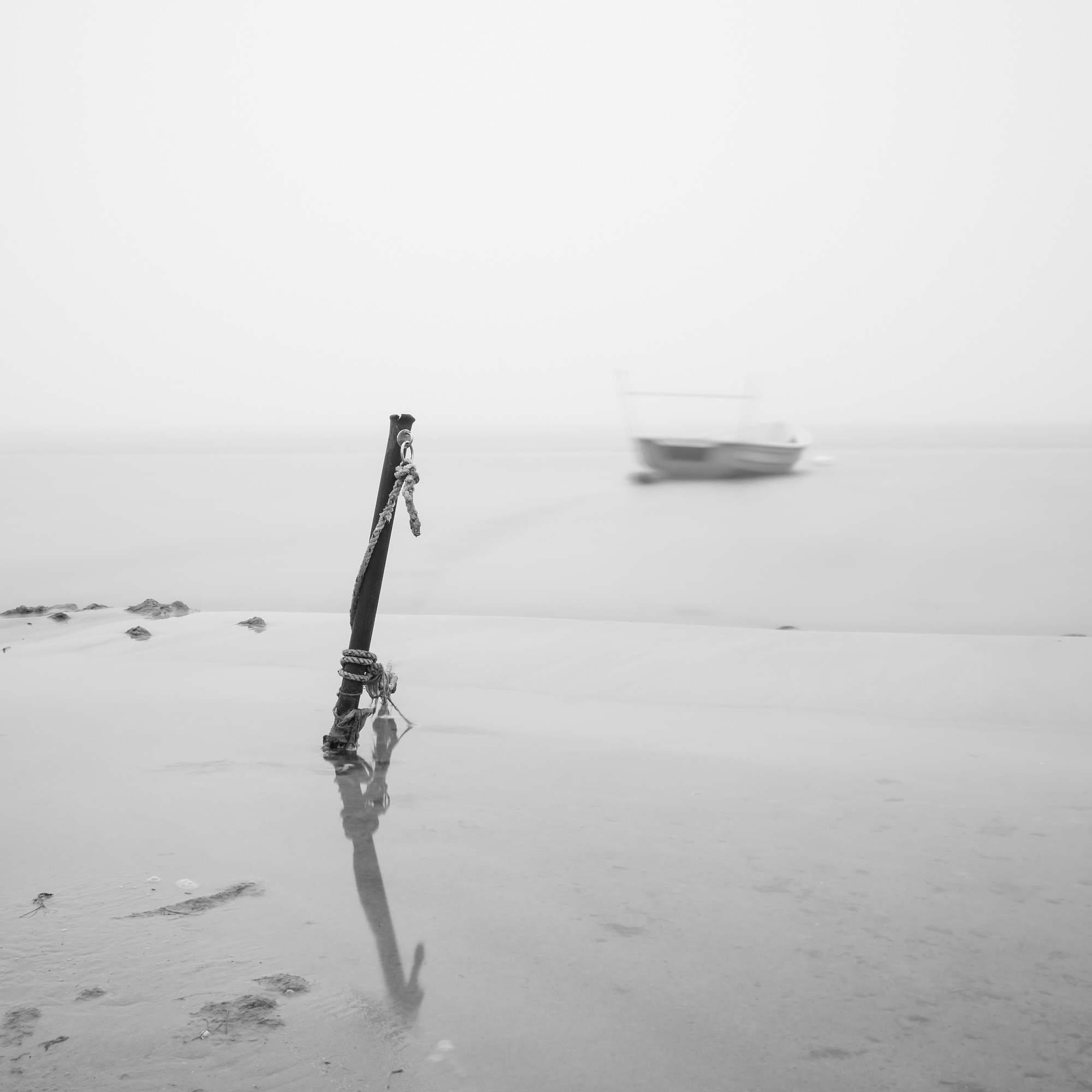 Art. Aleksandr Abrosimov Photography