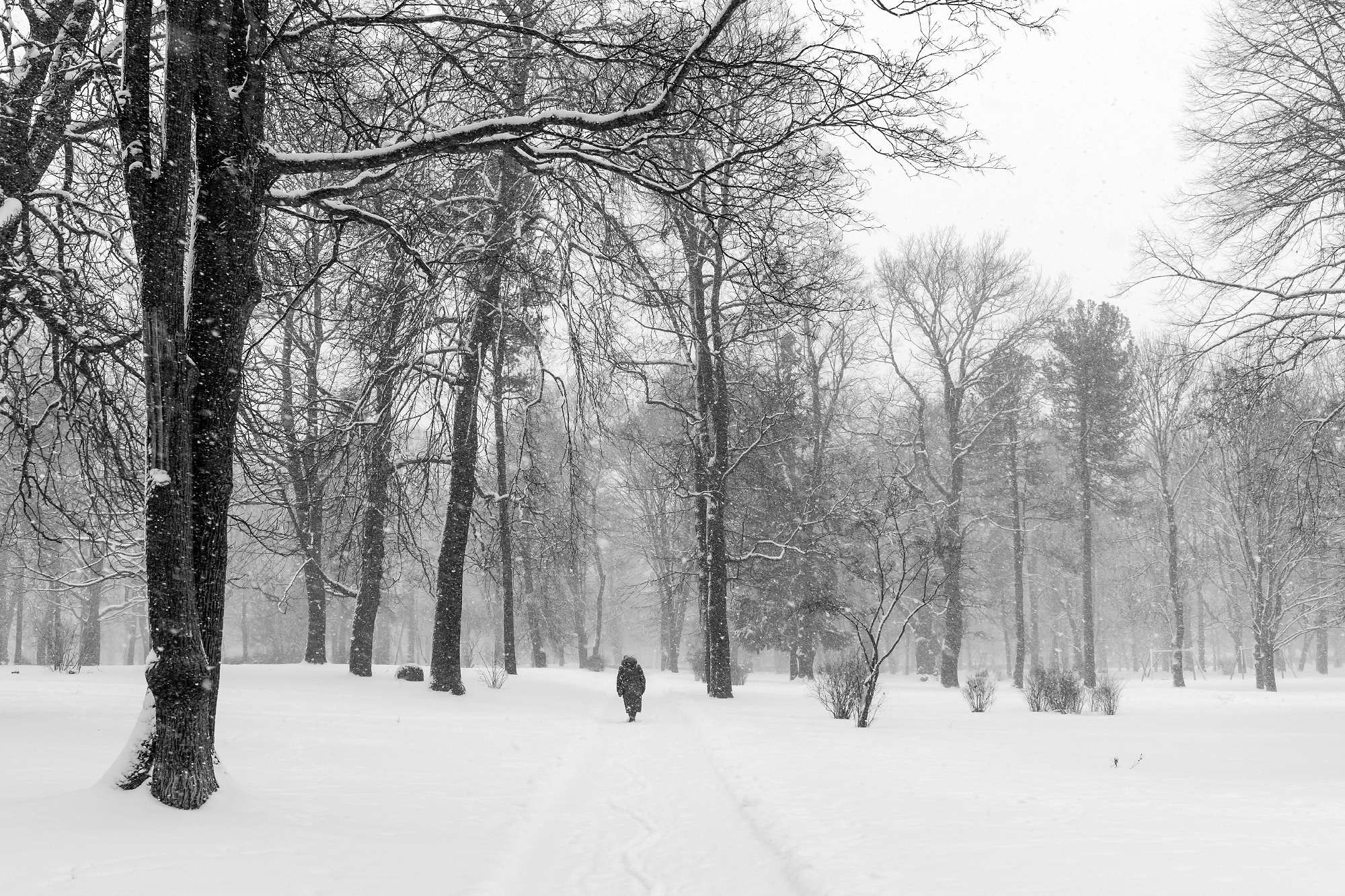 B&W. Aleksandr Abrosimov Photography