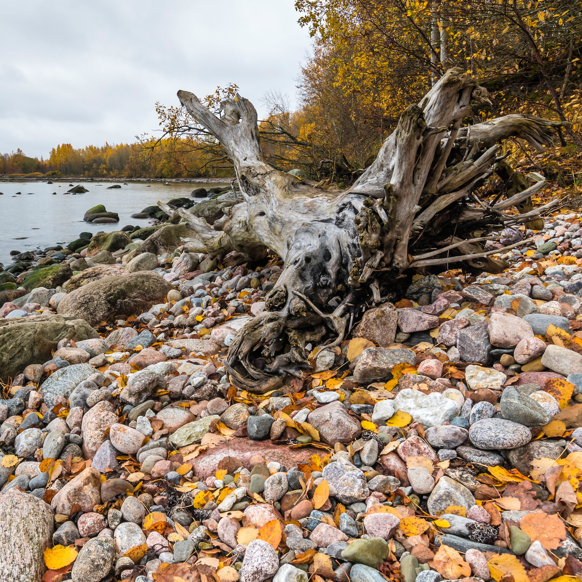 Seascapes. Морские пейзажи. Aleksandr Abrosimov Photography