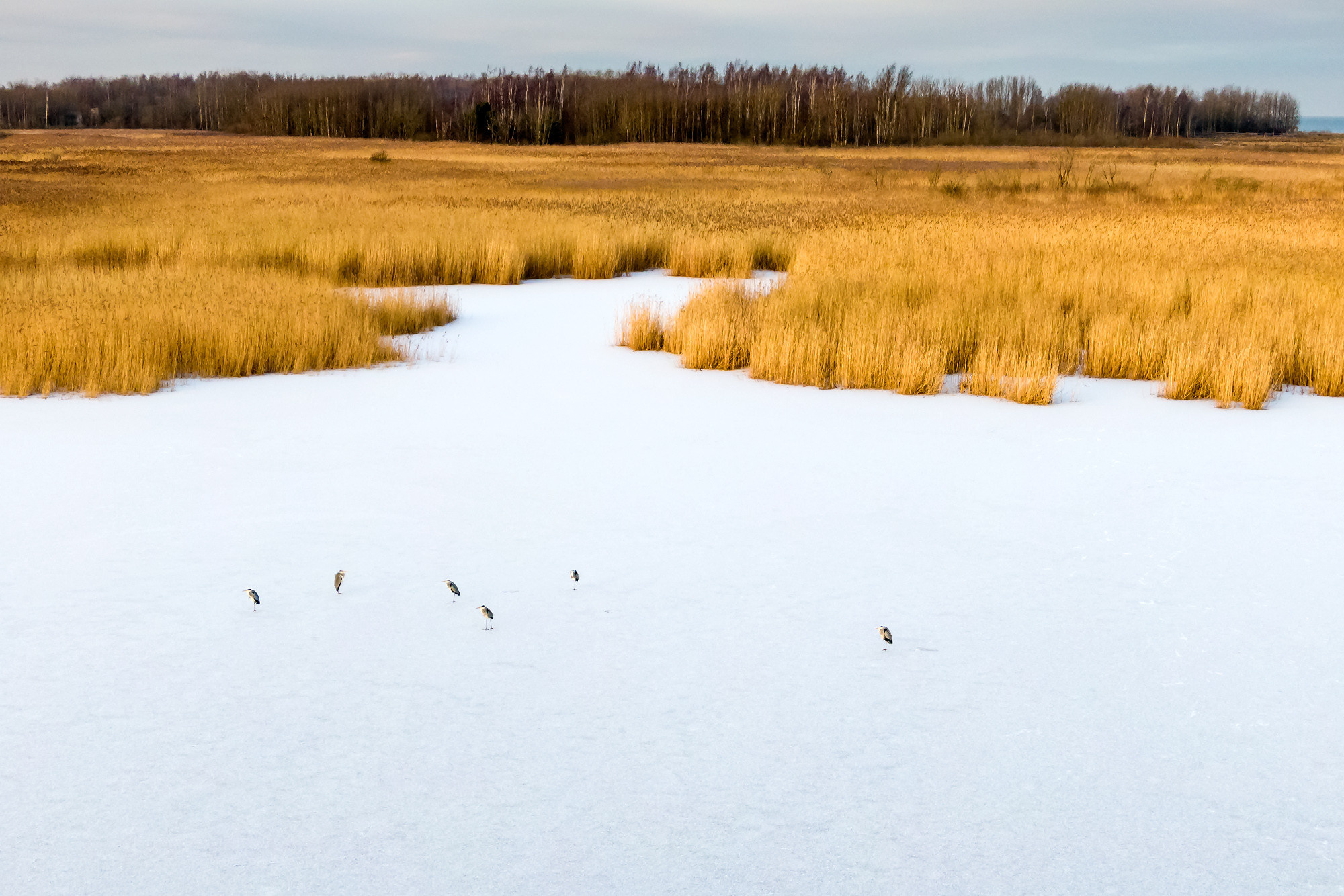 Aerial photography. Аэрофотосъемка. Aleksandr Abrosimov Photography