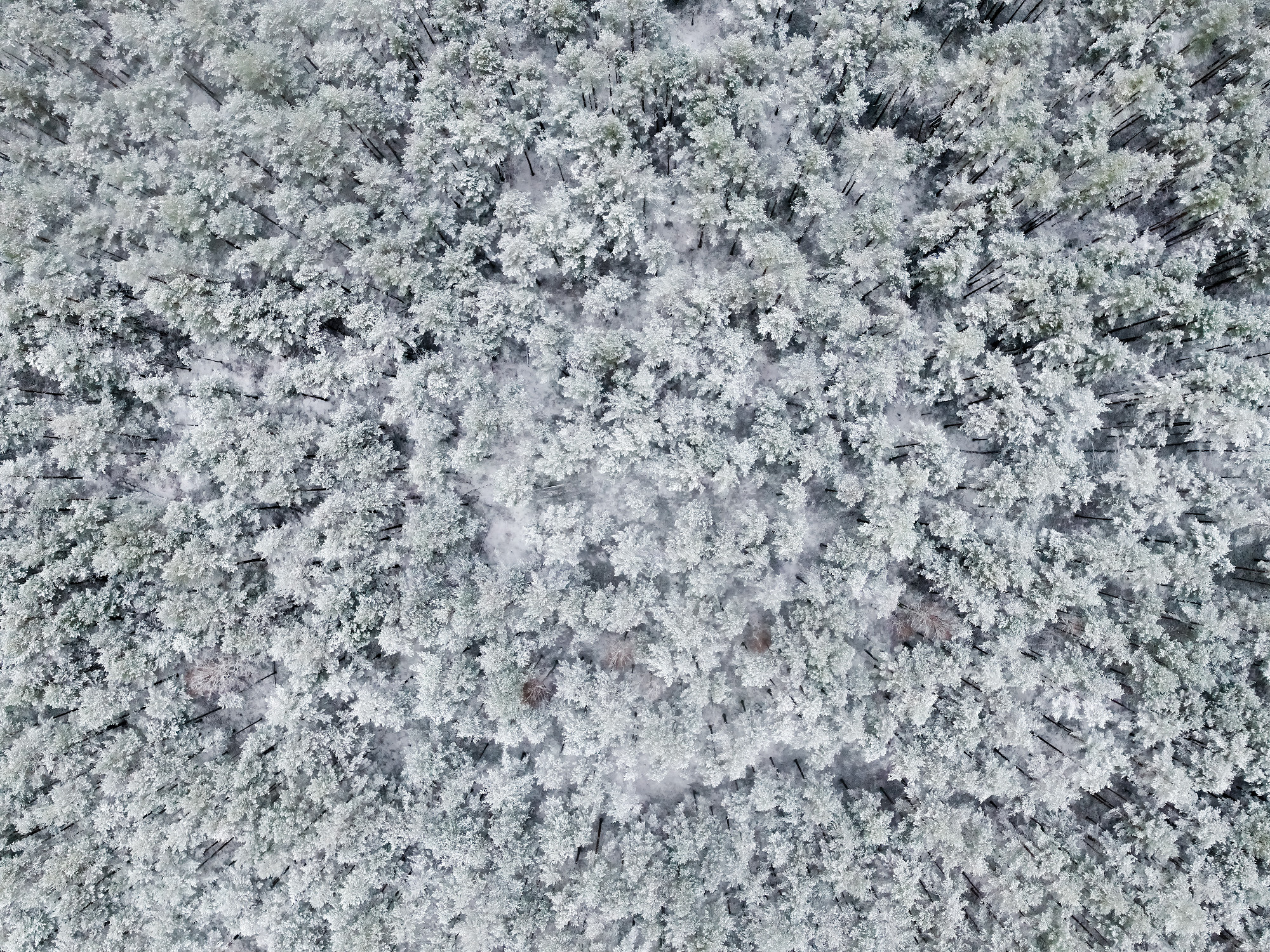 Aerial photography. Аэрофотосъемка. Aleksandr Abrosimov Photography