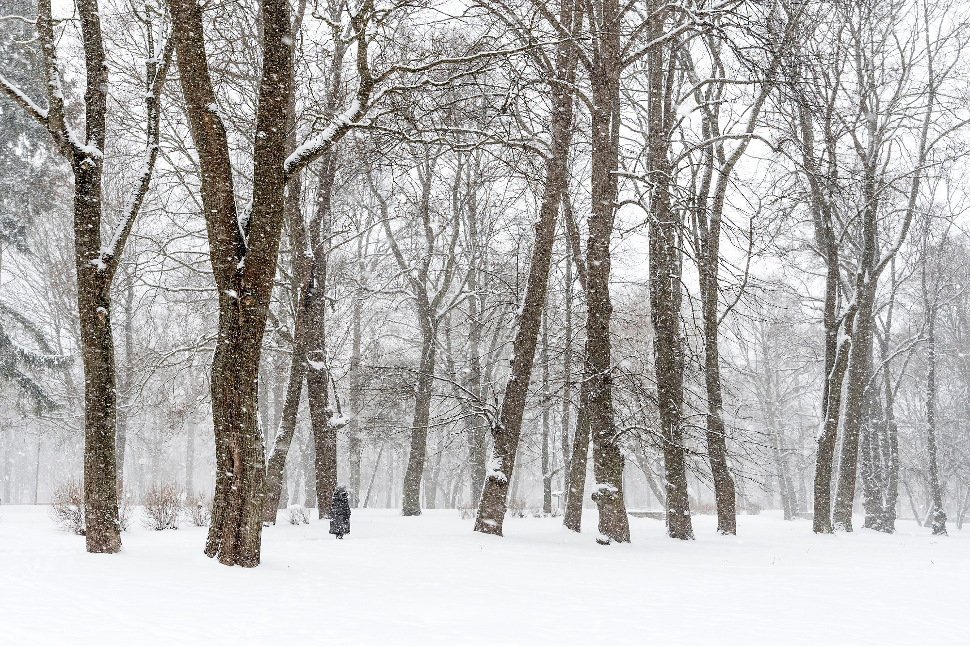 Winter landscape. Зимние пейзажи. Aleksandr Abrosimov Photography