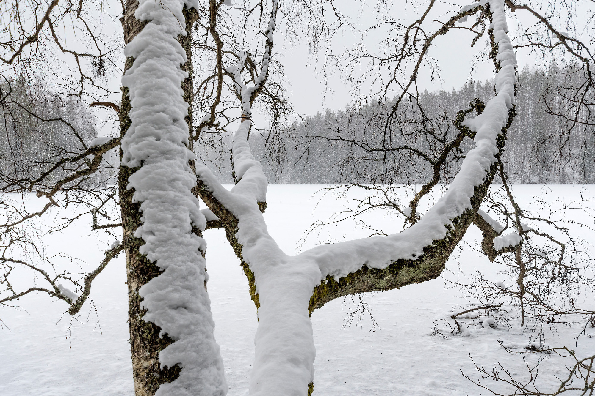 Winter landscape. Зимние пейзажи. Aleksandr Abrosimov Photography