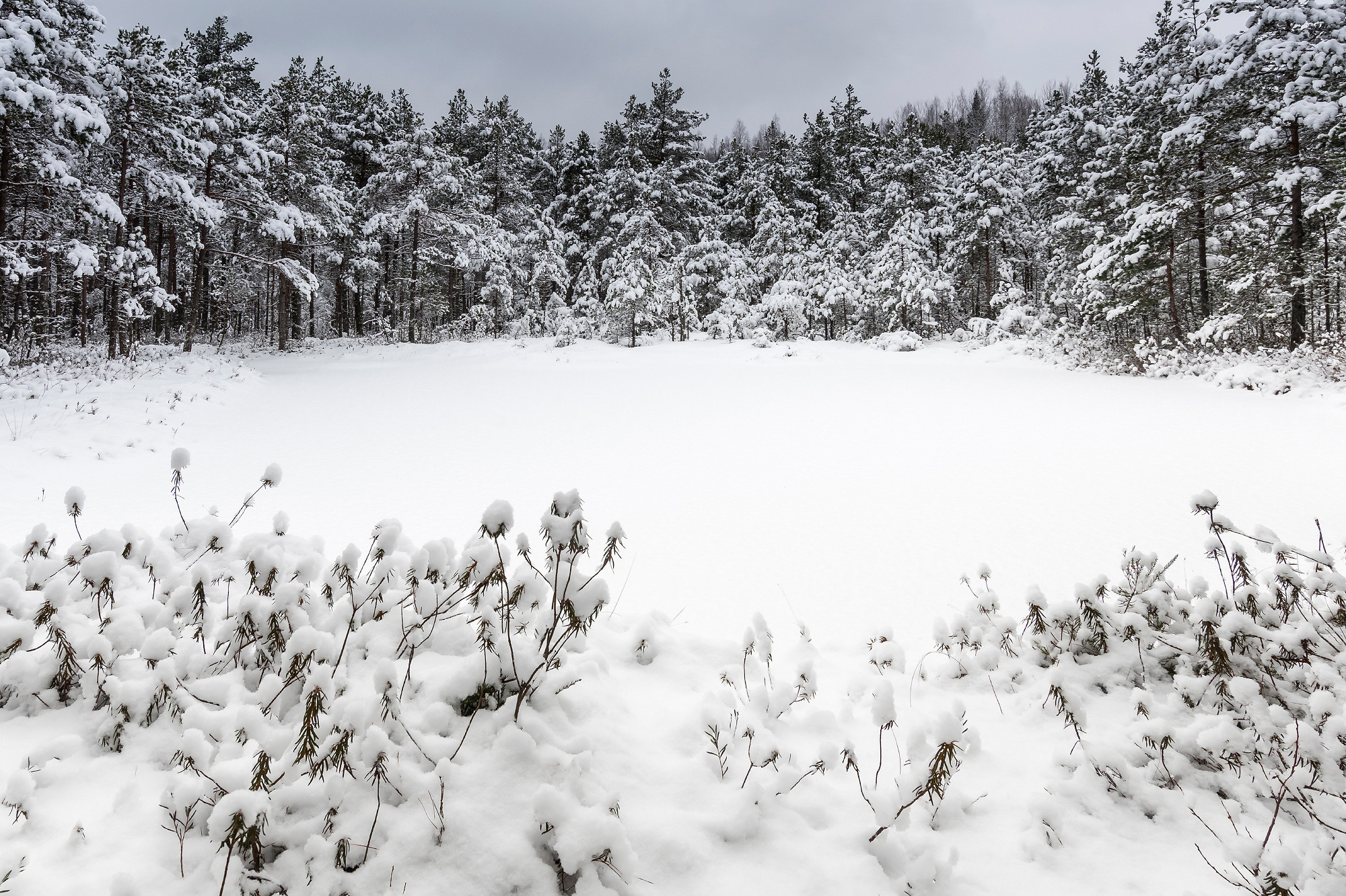 Winter landscape. Зимние пейзажи. Aleksandr Abrosimov Photography