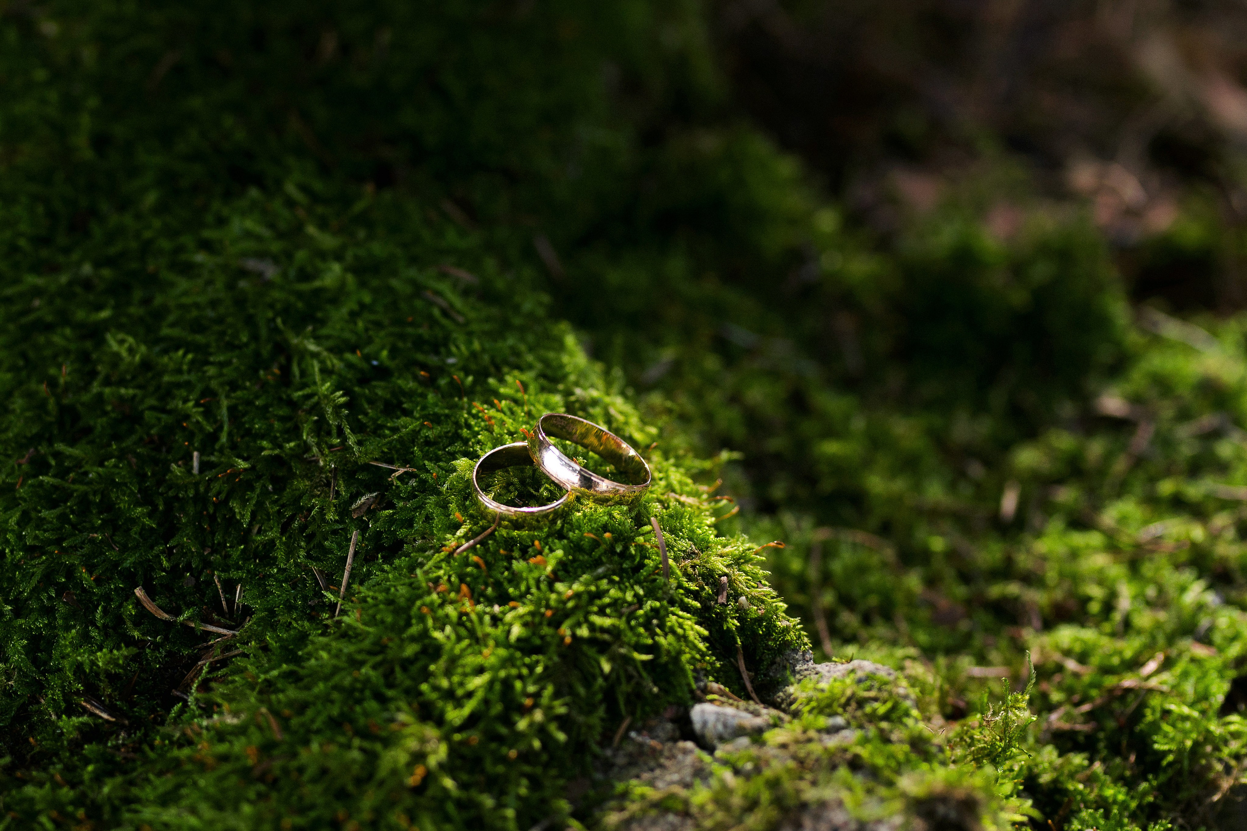 Giedrė ir Vaidas. Anonsas