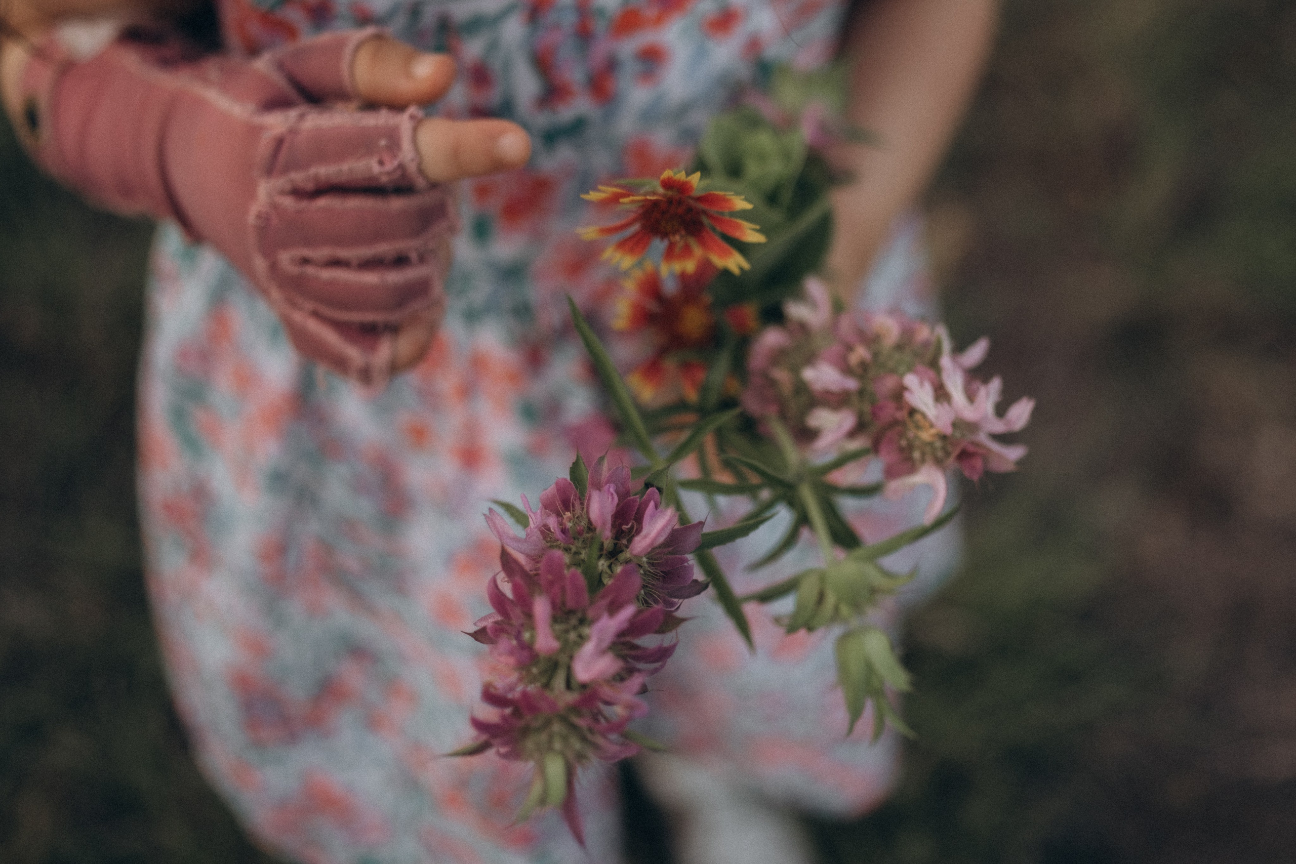 Champion Park. Lens Captures Life