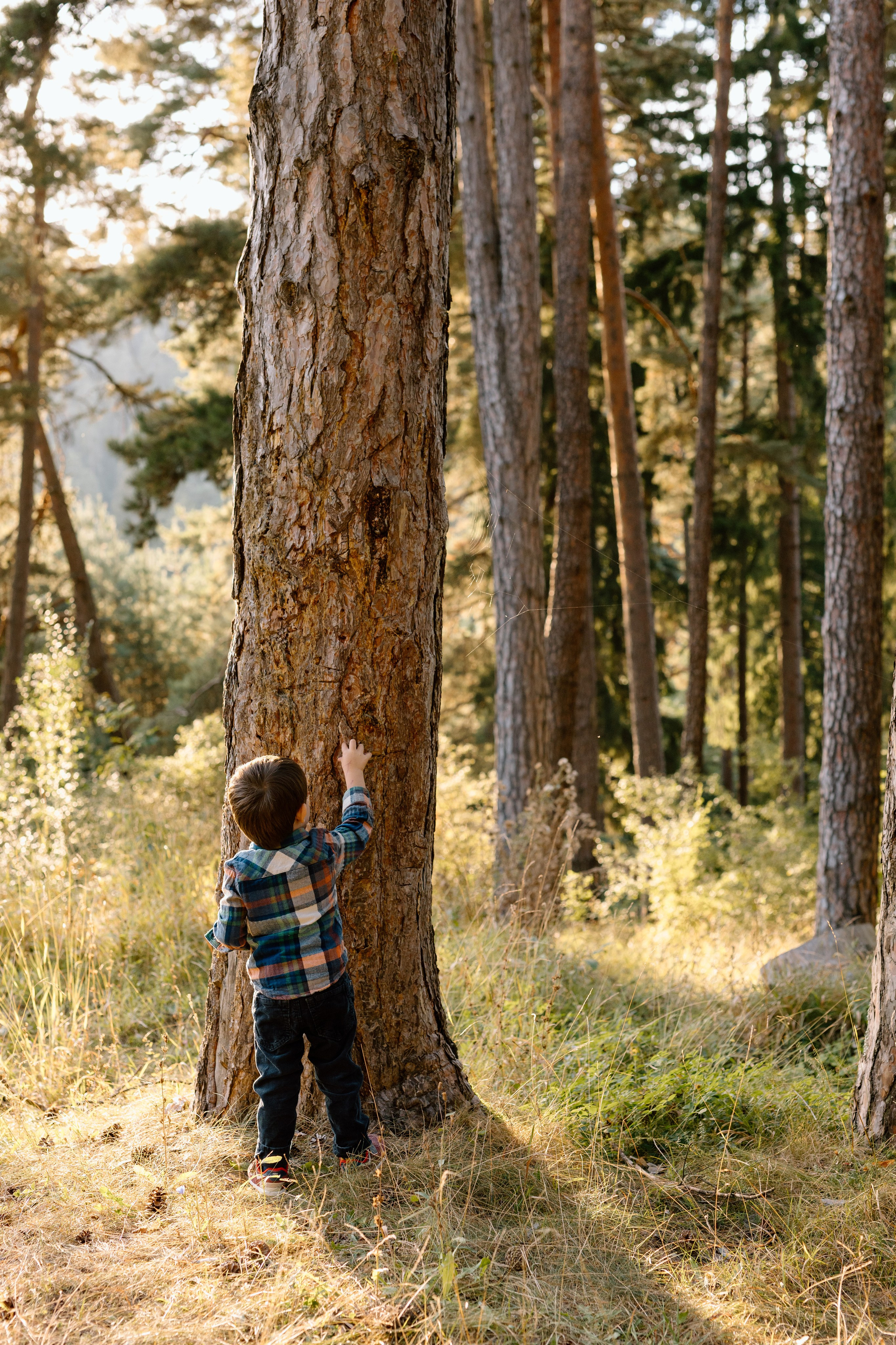 Sanziana, Daniel & Alexandru — Family. Main